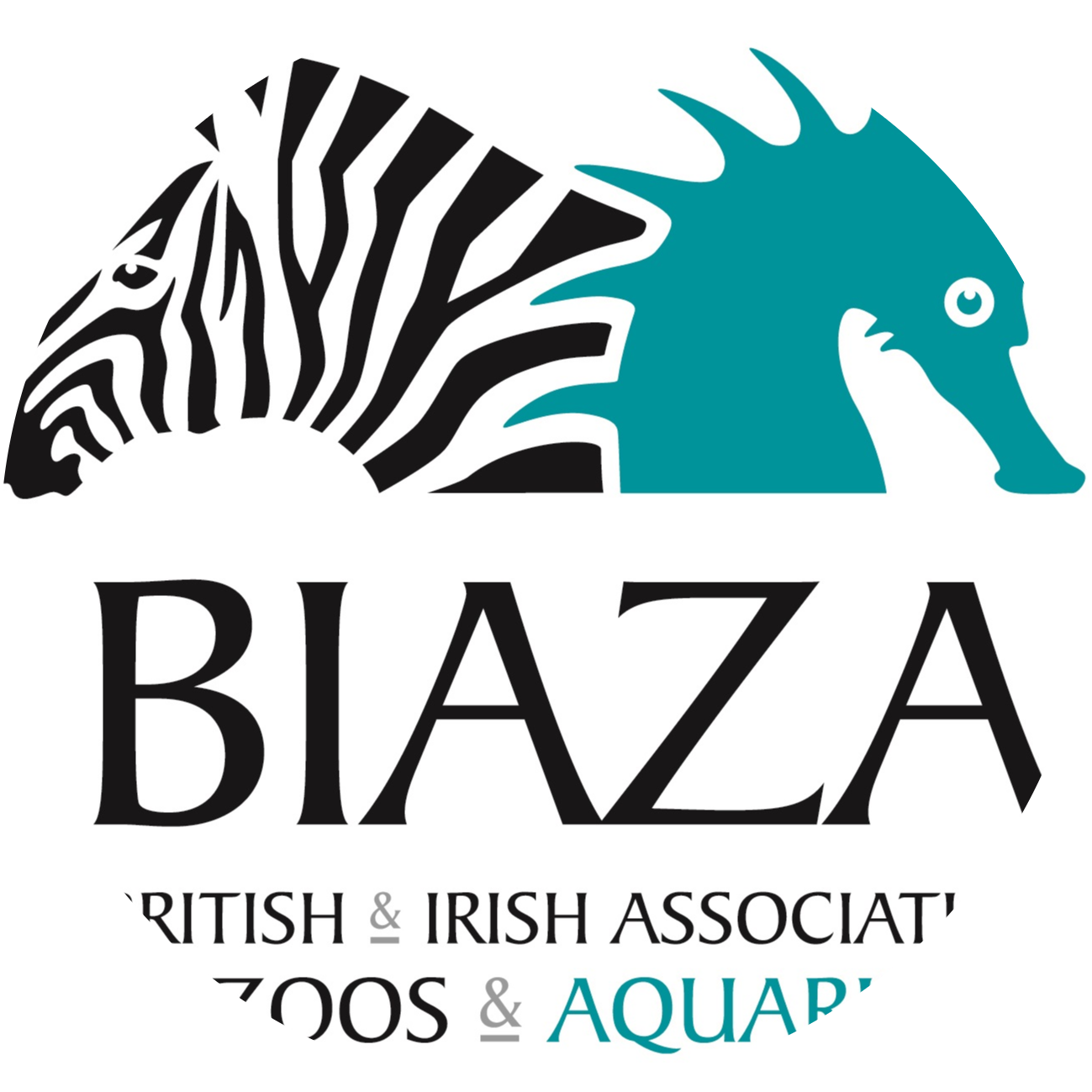 Go to the profile of Nicky Needham