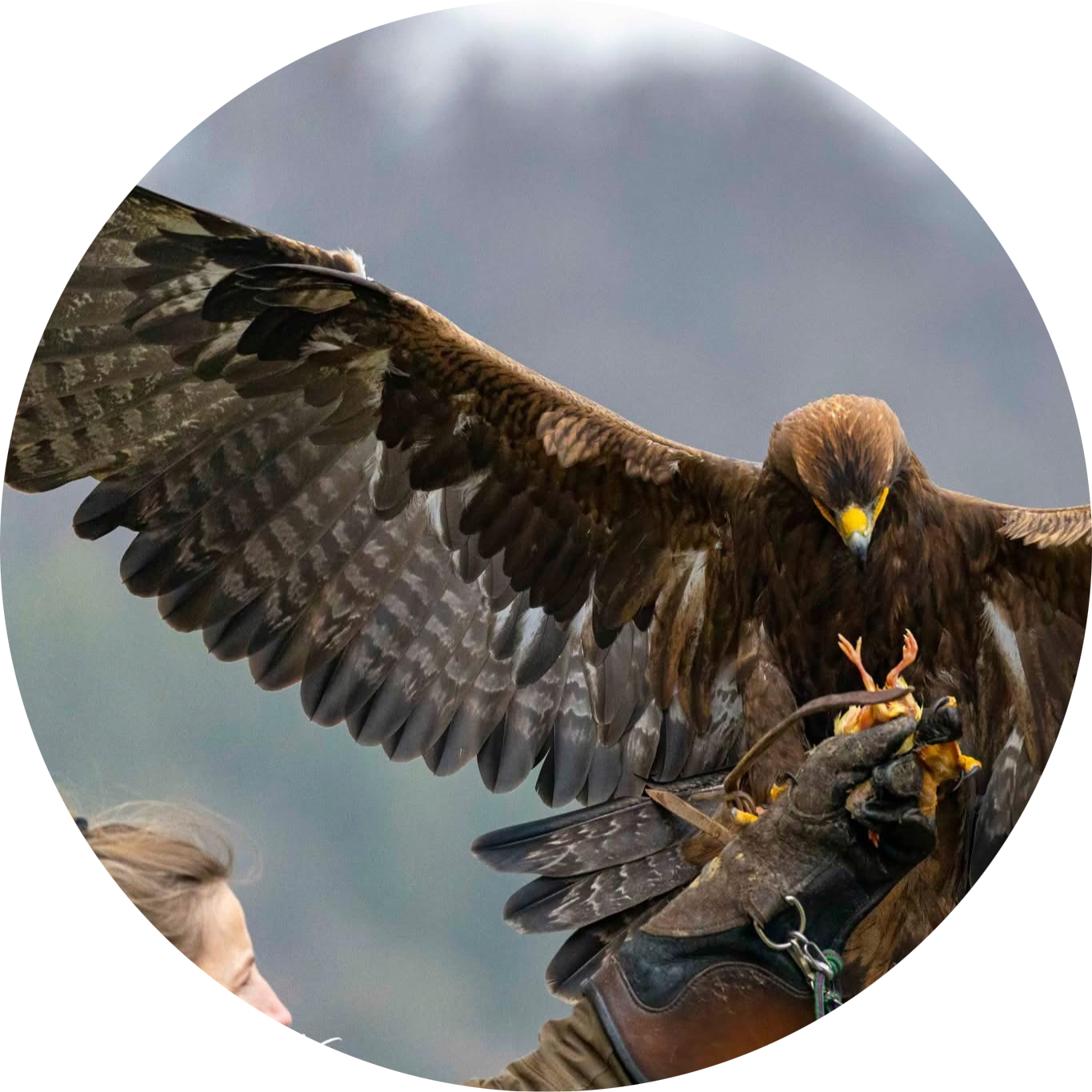 Go to the profile of Nathalie Denolf