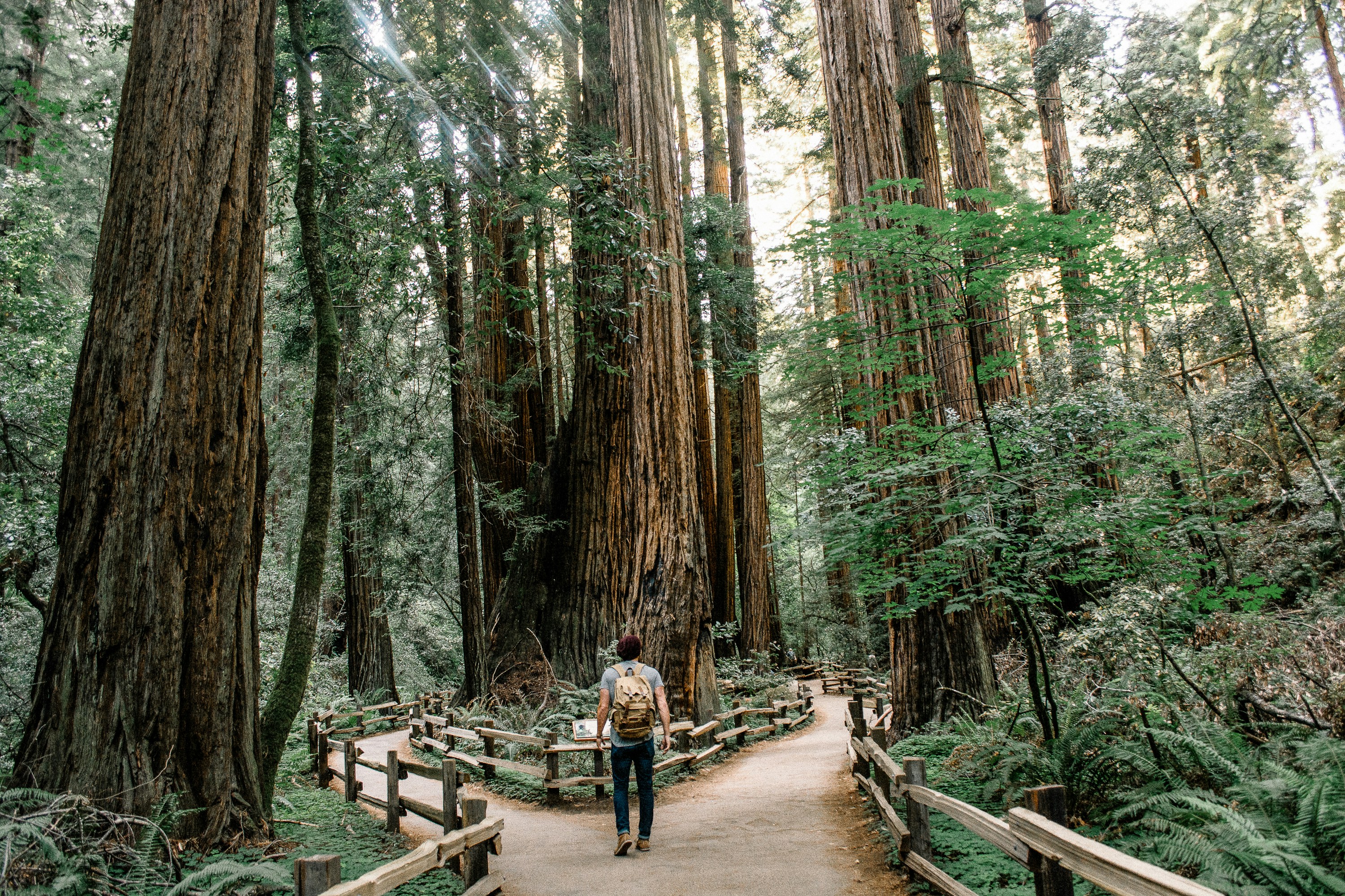 How important is interdisciplinary work in conservation? 