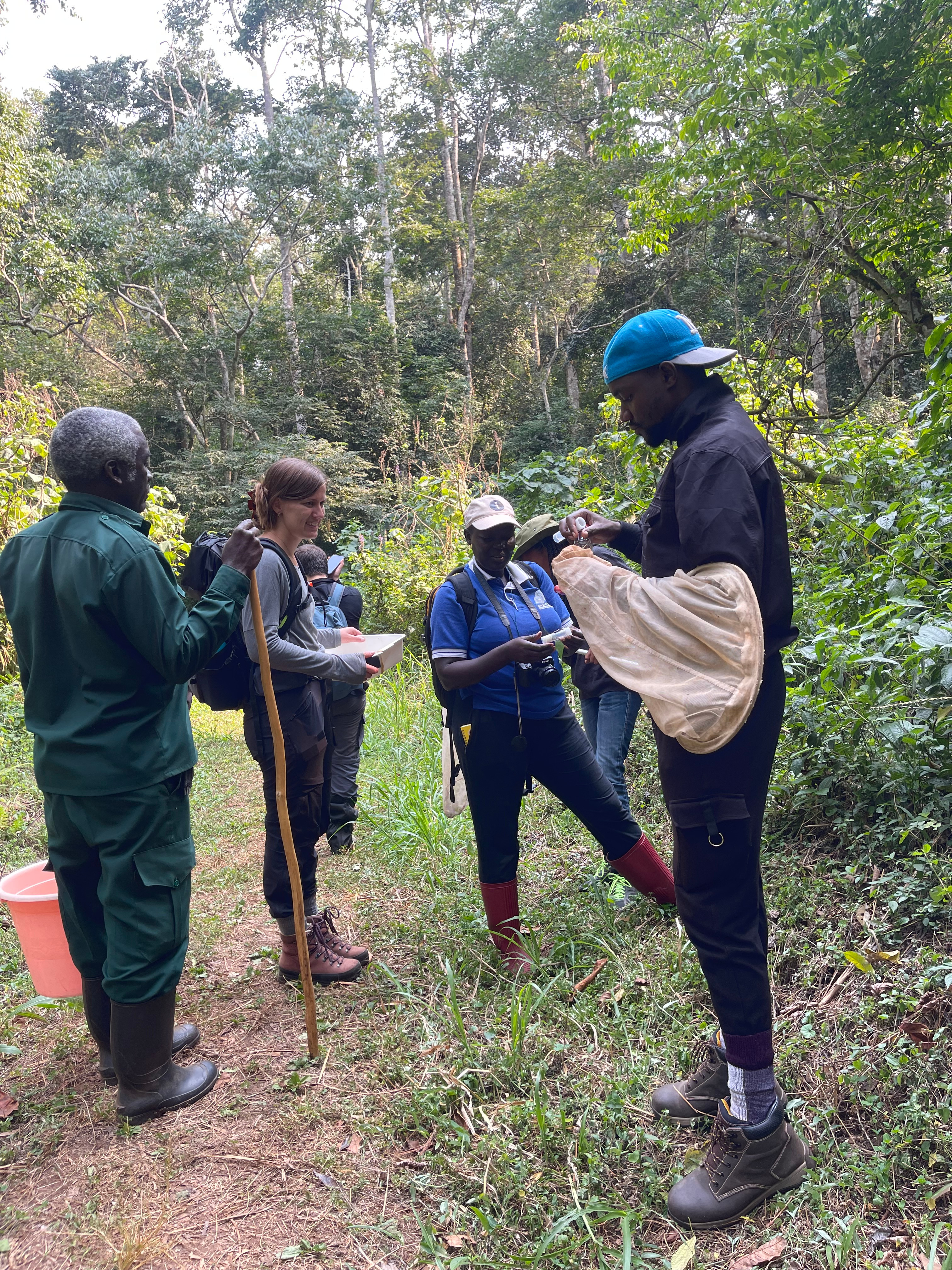 Some light-bulb moments in TBA Field Courses: Training Conservation Leaders