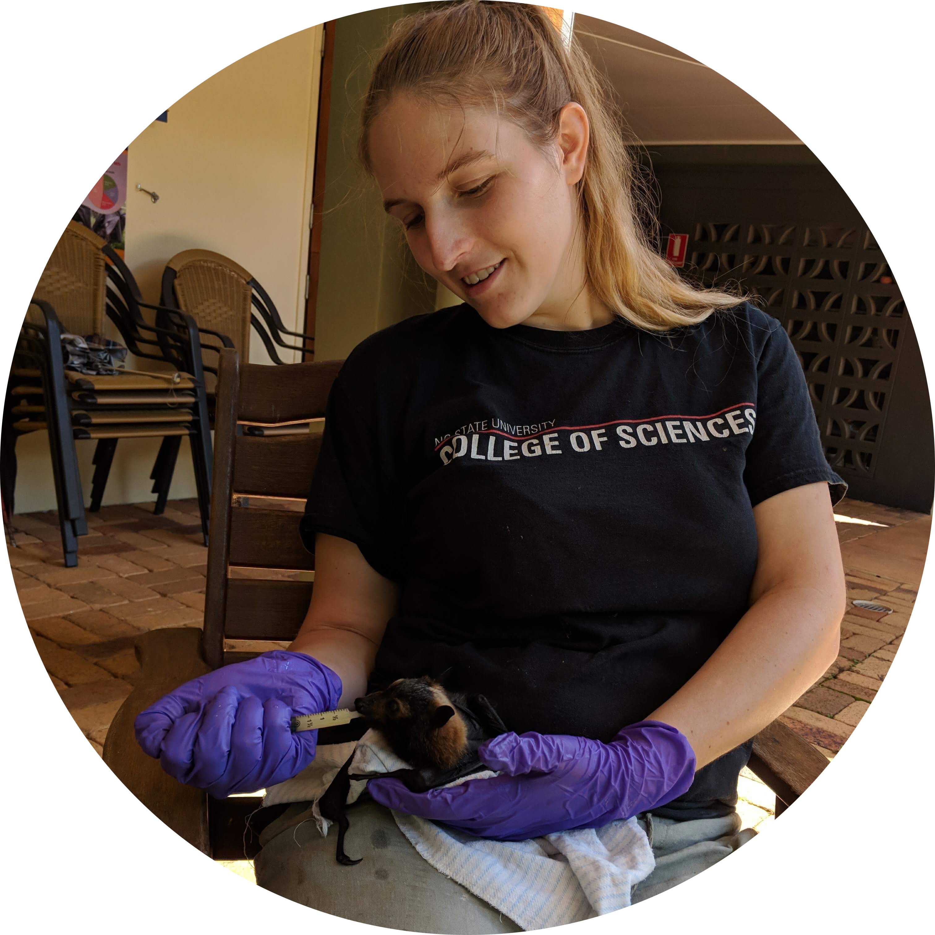 Go to the profile of Jacqueline Ansel