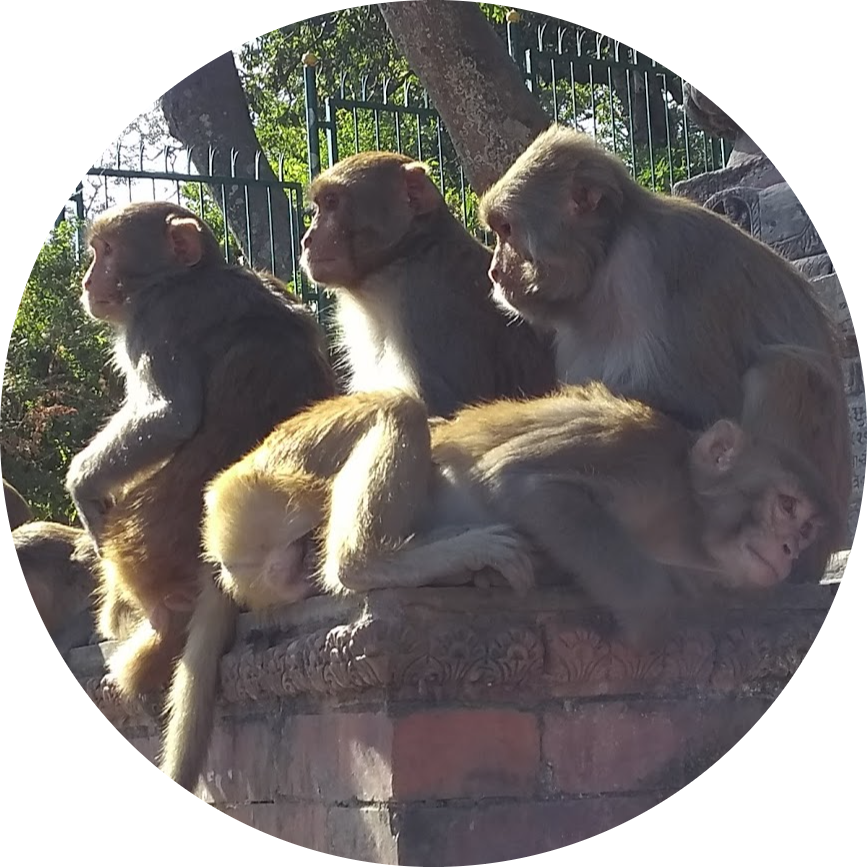 Go to the profile of Brooke Aldrich