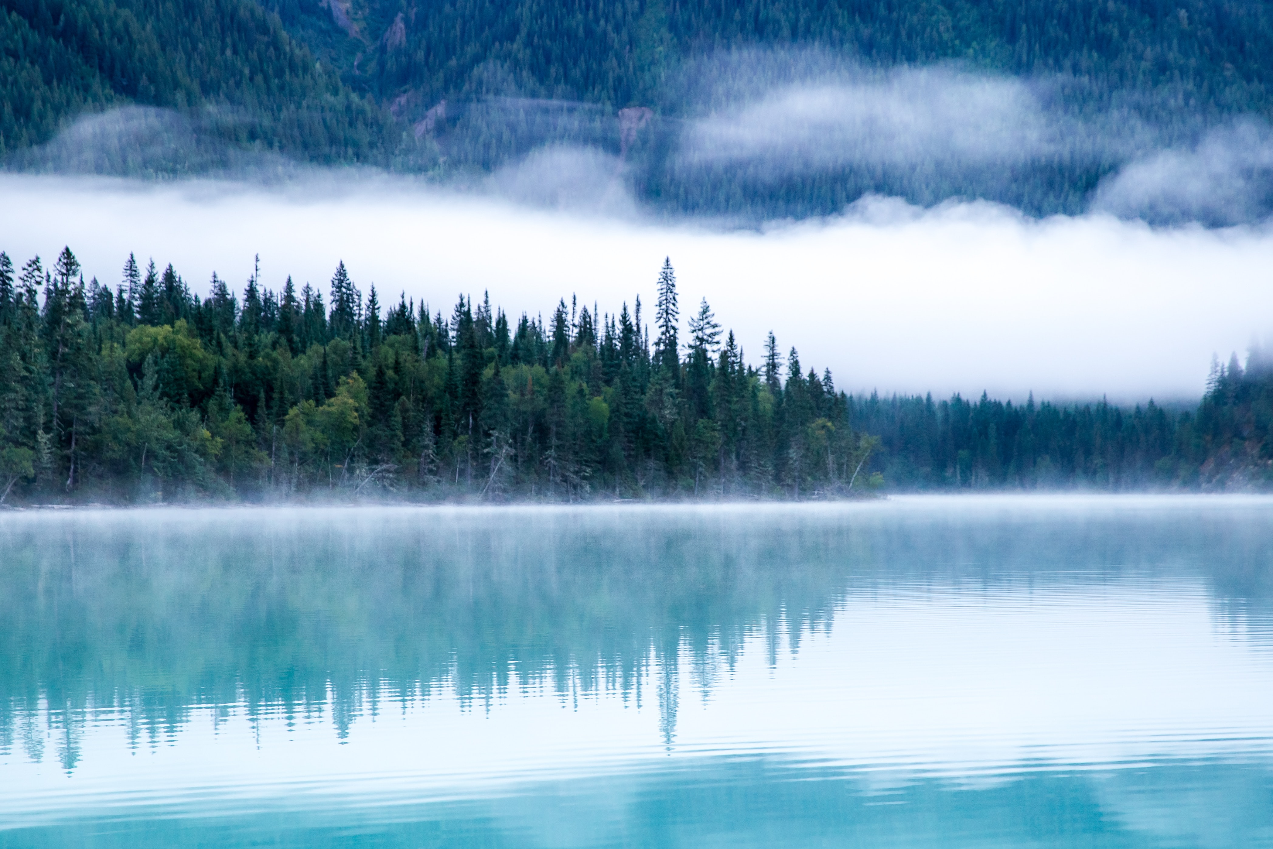 Conservation in a Climate Change