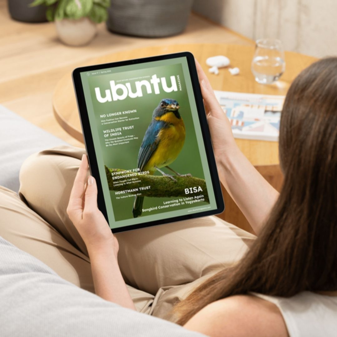 Read Ubuntu Magazine issue 17 now!
