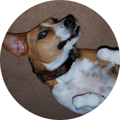 Go to the profile of Emily Talkington