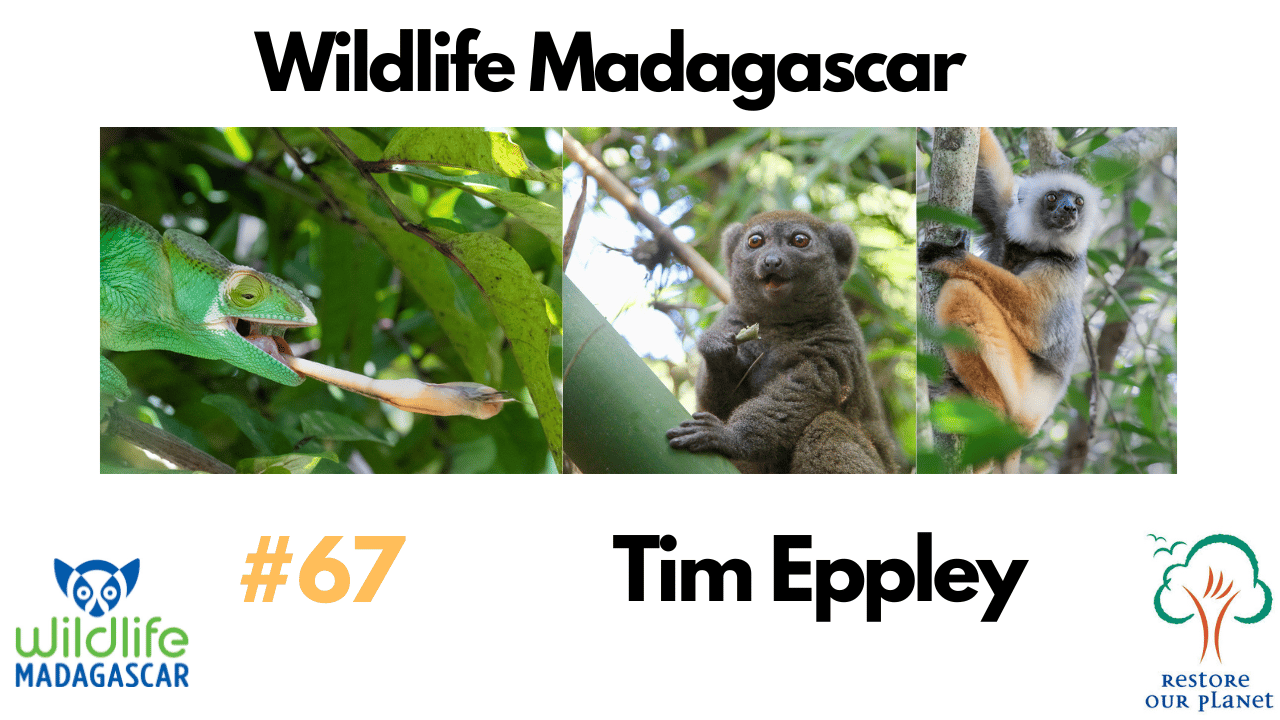 Restore Our Planet Podcast #67 Wildlife Madagascar: Tim Eppley