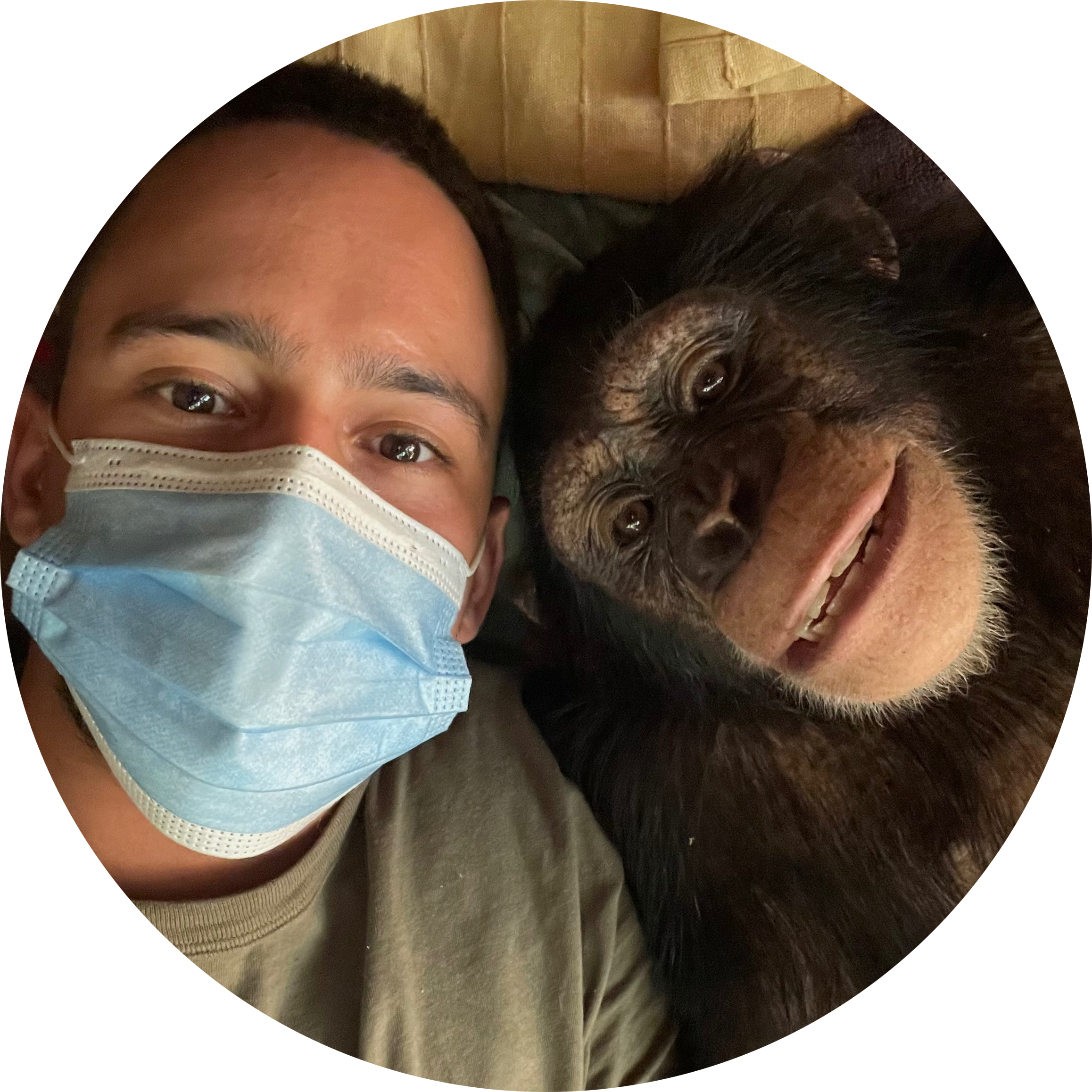 Go to the profile of Antonio Craveiro