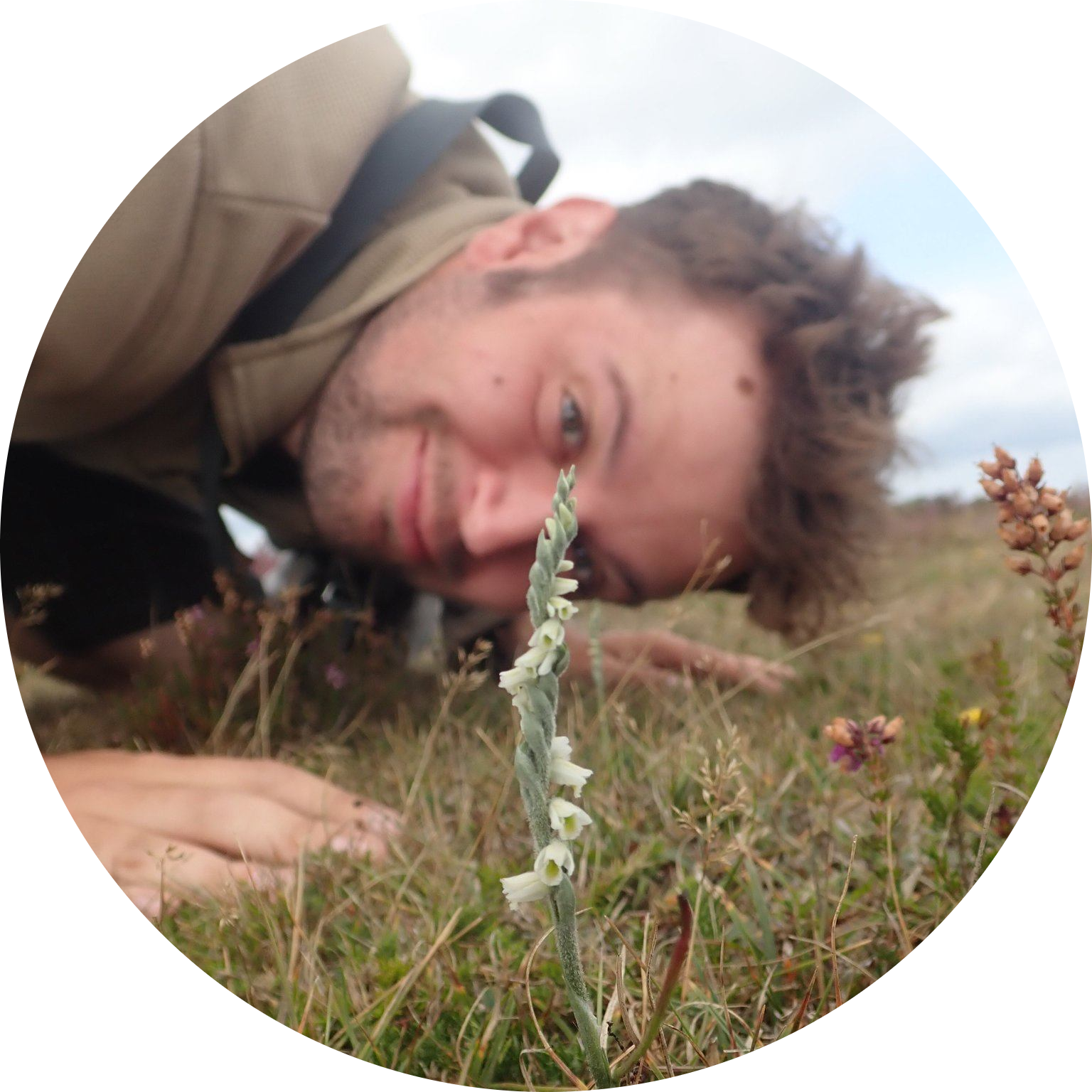 Go to the profile of Ryan Clark