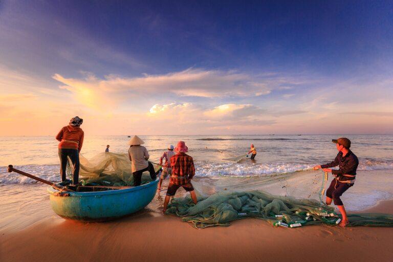 EJF is hiring two Oceans Officers