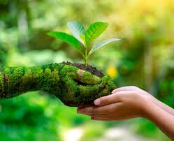 The key to building successful Partnerships and collaborations