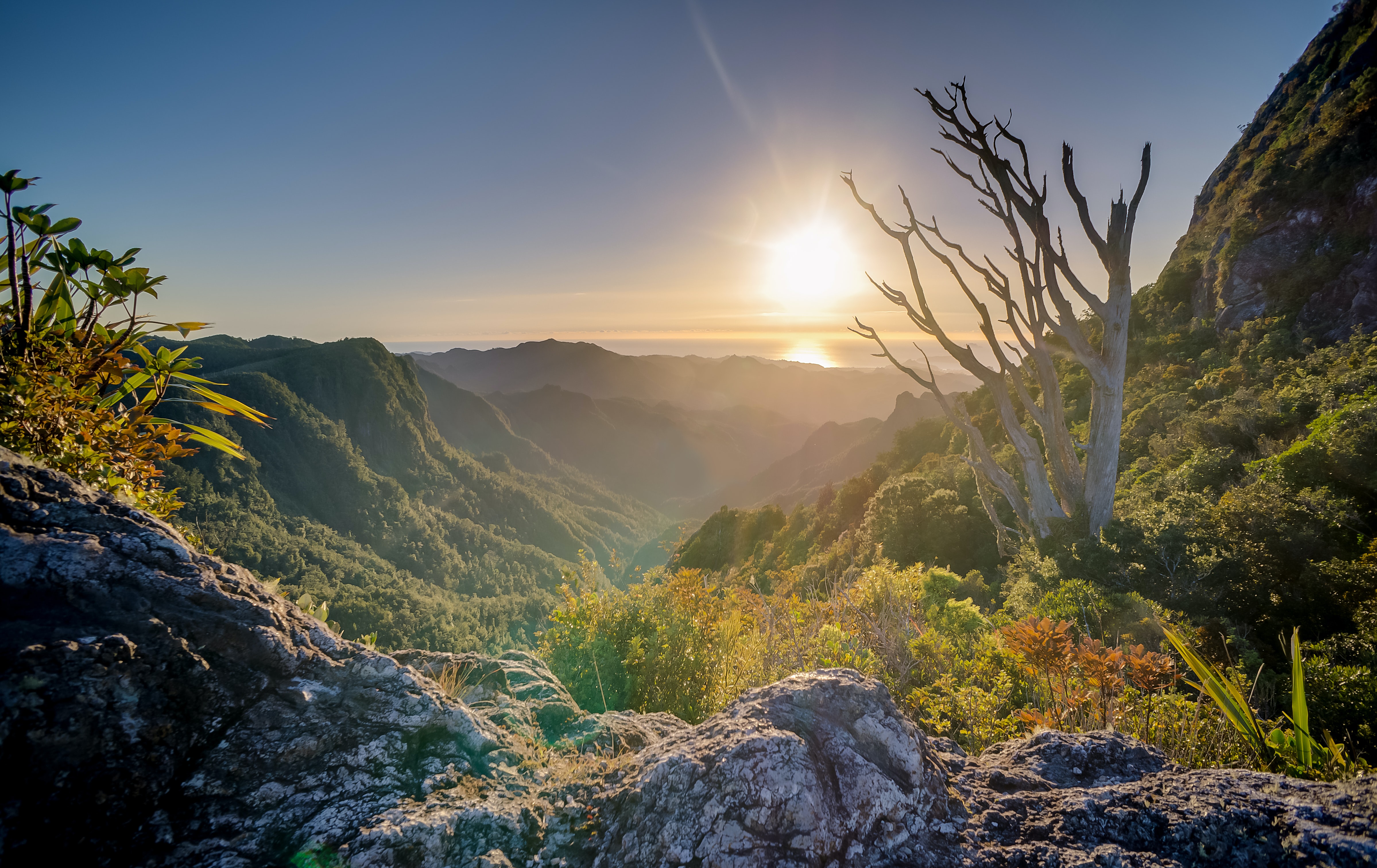 For the beauty of life, wonder of diversity, rewards of exploring – create your future!   