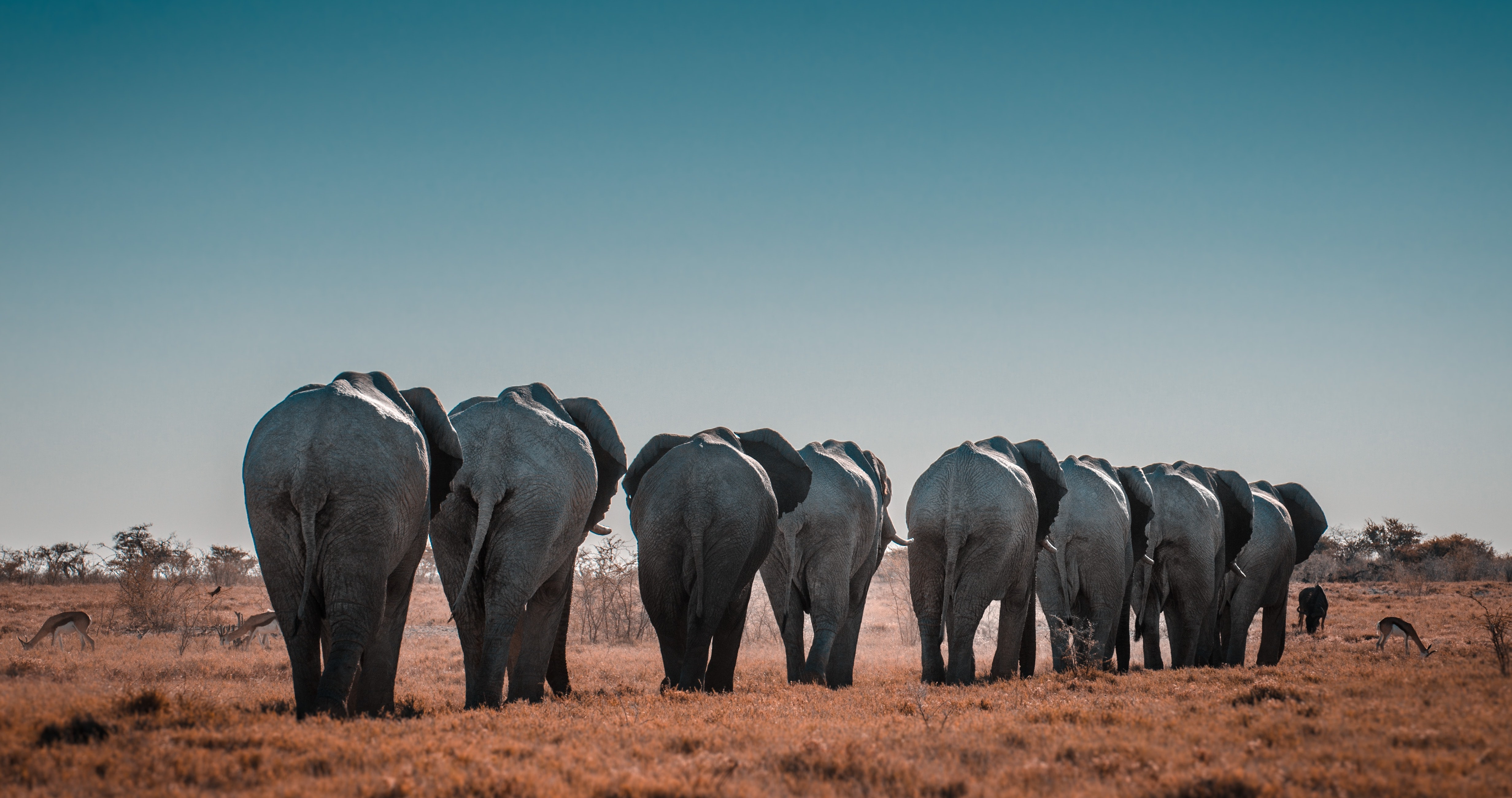 TRAINING: Conservation Leadership - Learning