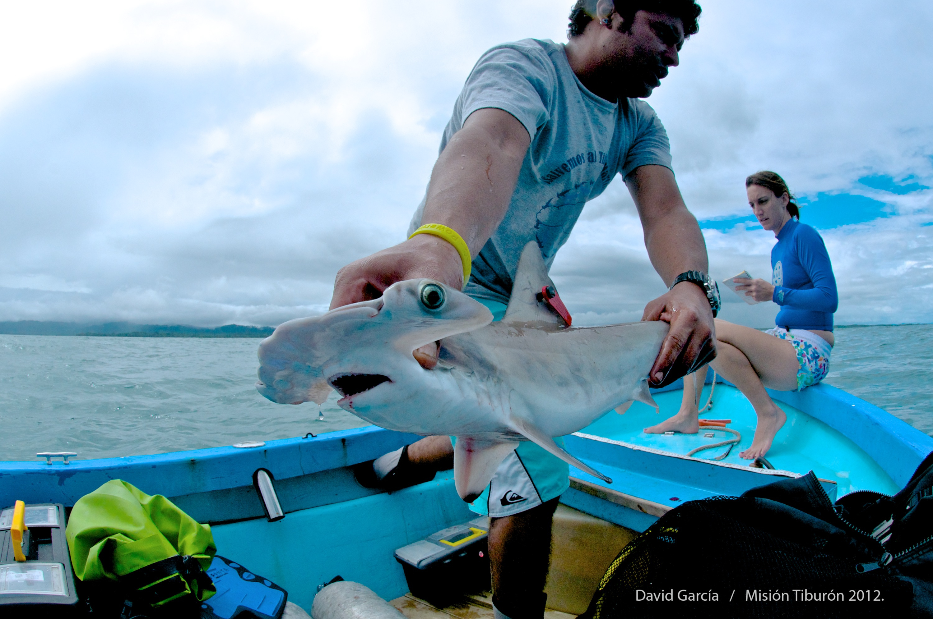 Ocean Hope Chronicles: Local Leaders as Extraordinary Changemakers