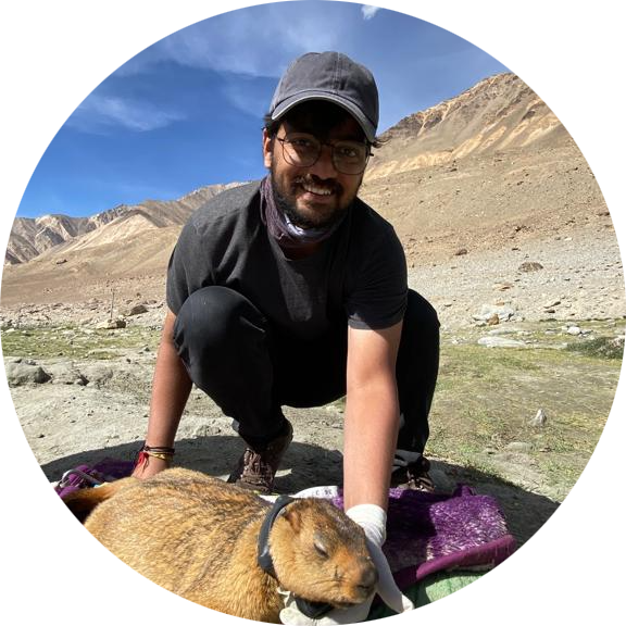 Go to the profile of Prasad Tonde