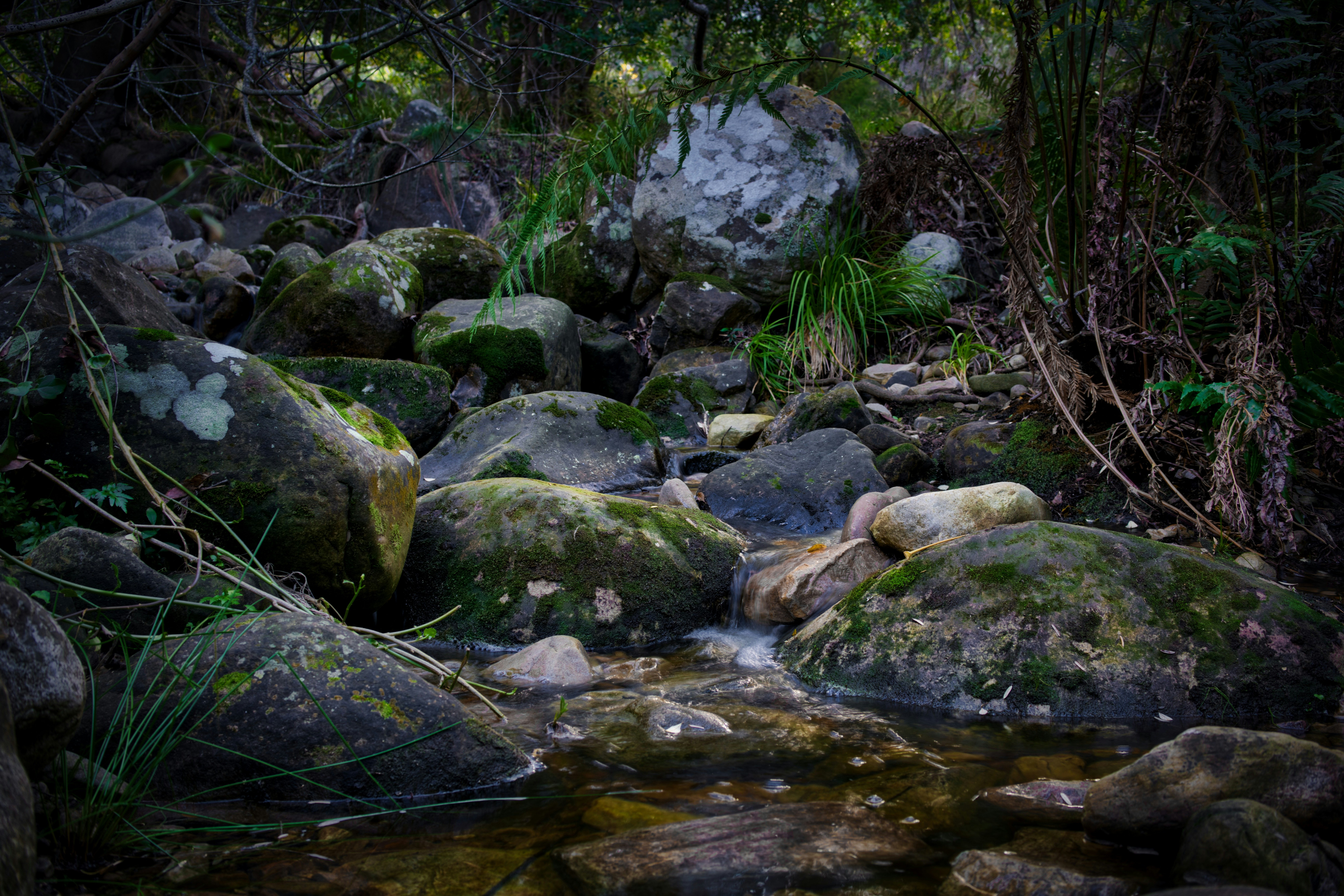 Environment and Biodiversity Specialist