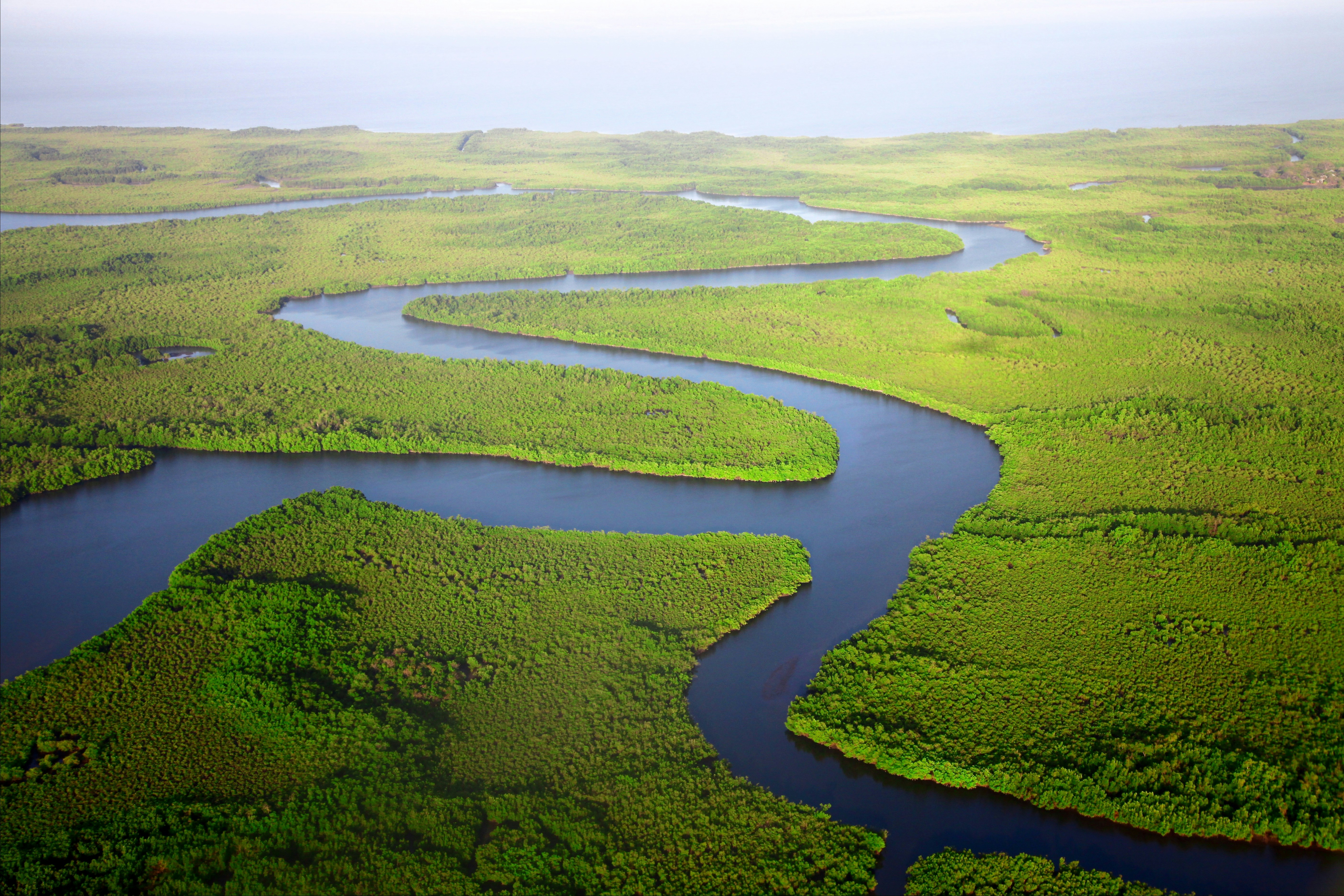 Passionate Conservationist Committed to Empowering Communities