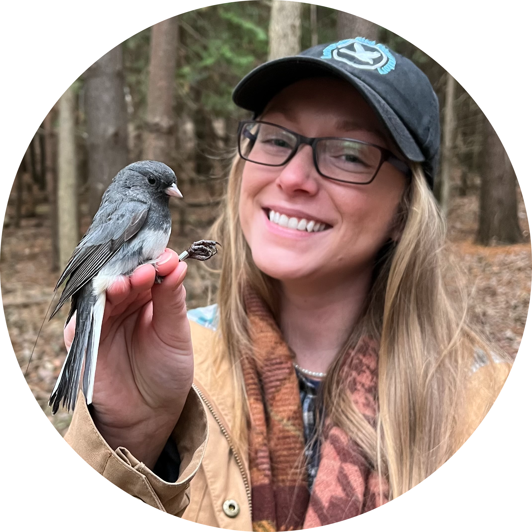 Go to the profile of Alexandra Israel