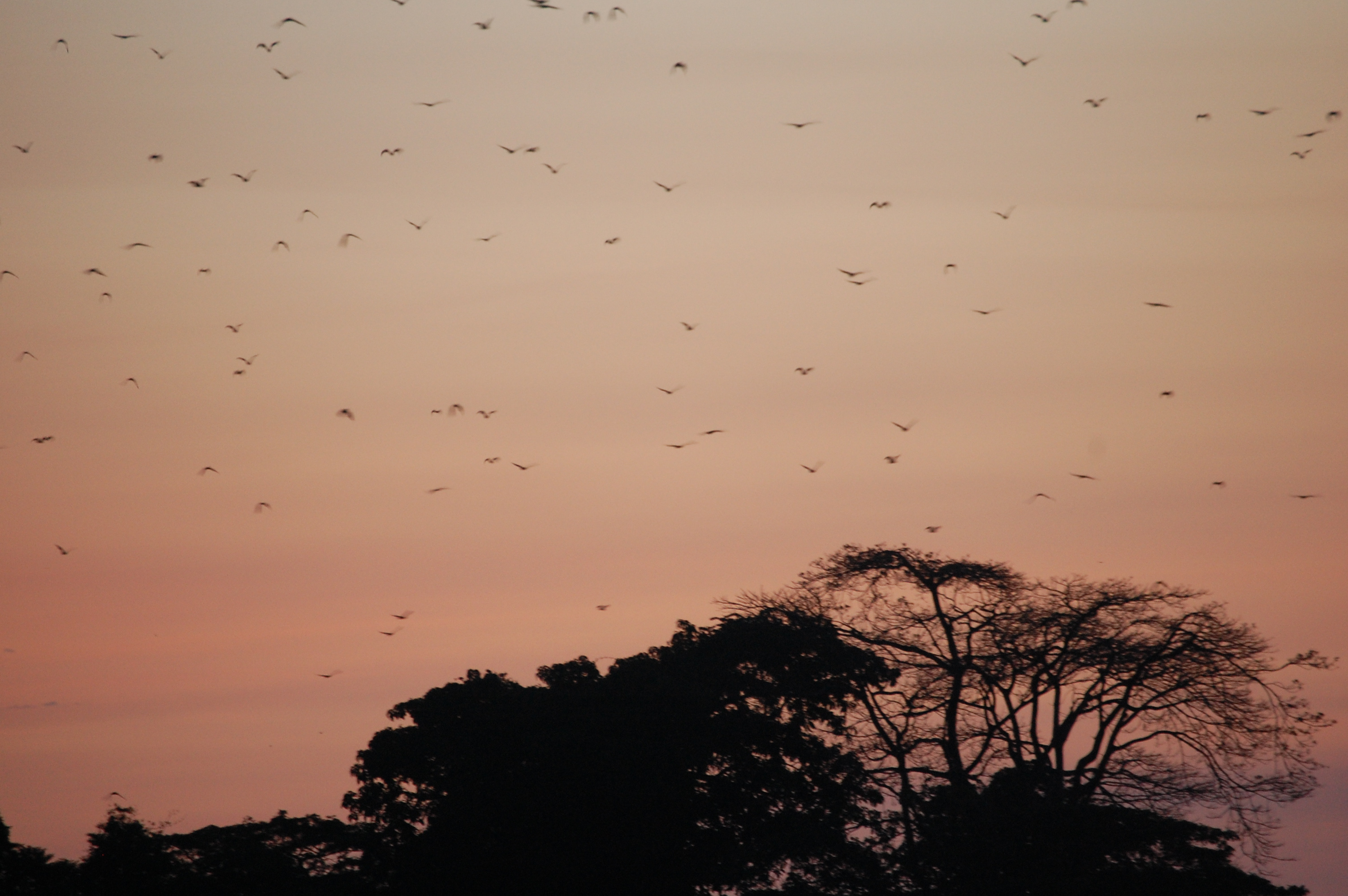 Lessons learned from Uganda 