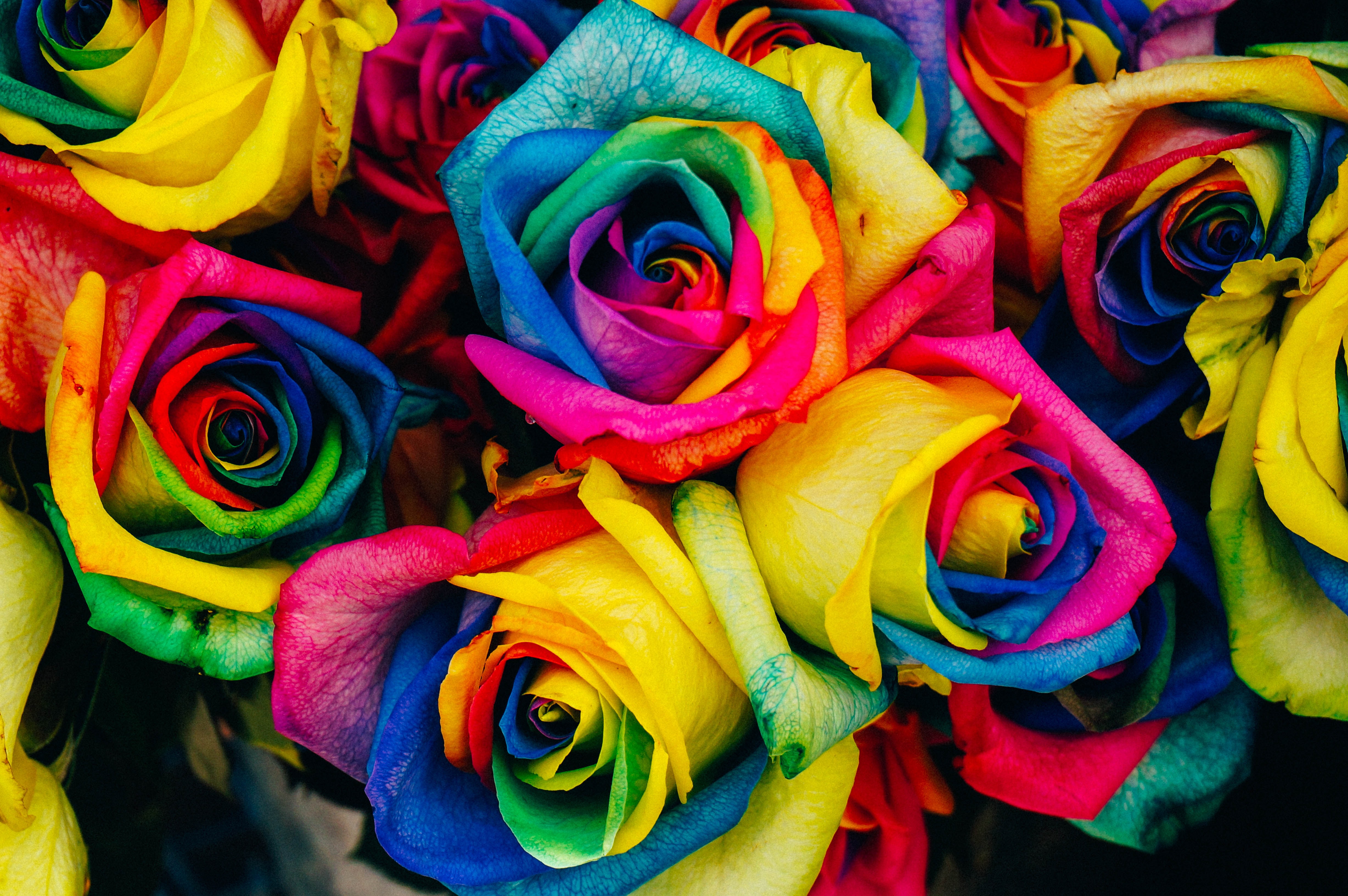 Diversity within: respecting the conflicting aspects of self