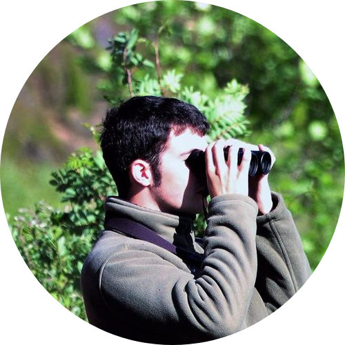 Go to the profile of Joe Bodycote