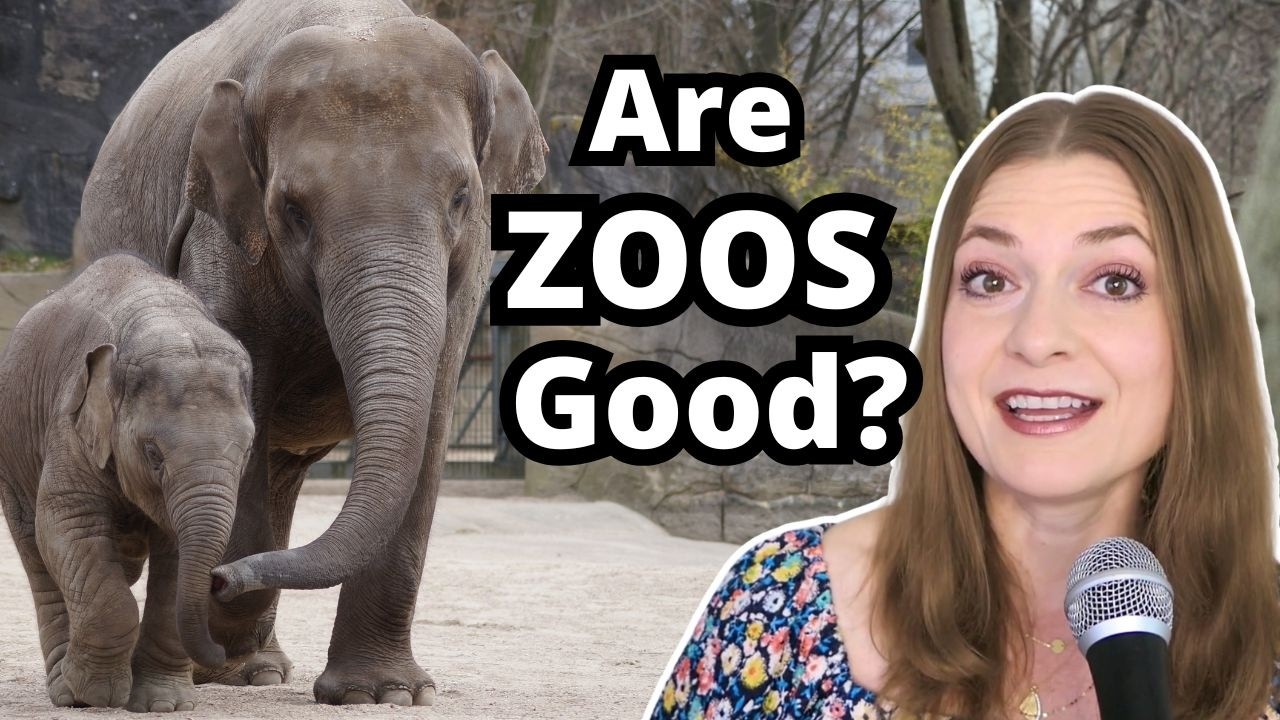Do Zoos Help Conservation? Research, Ethics, and Careers