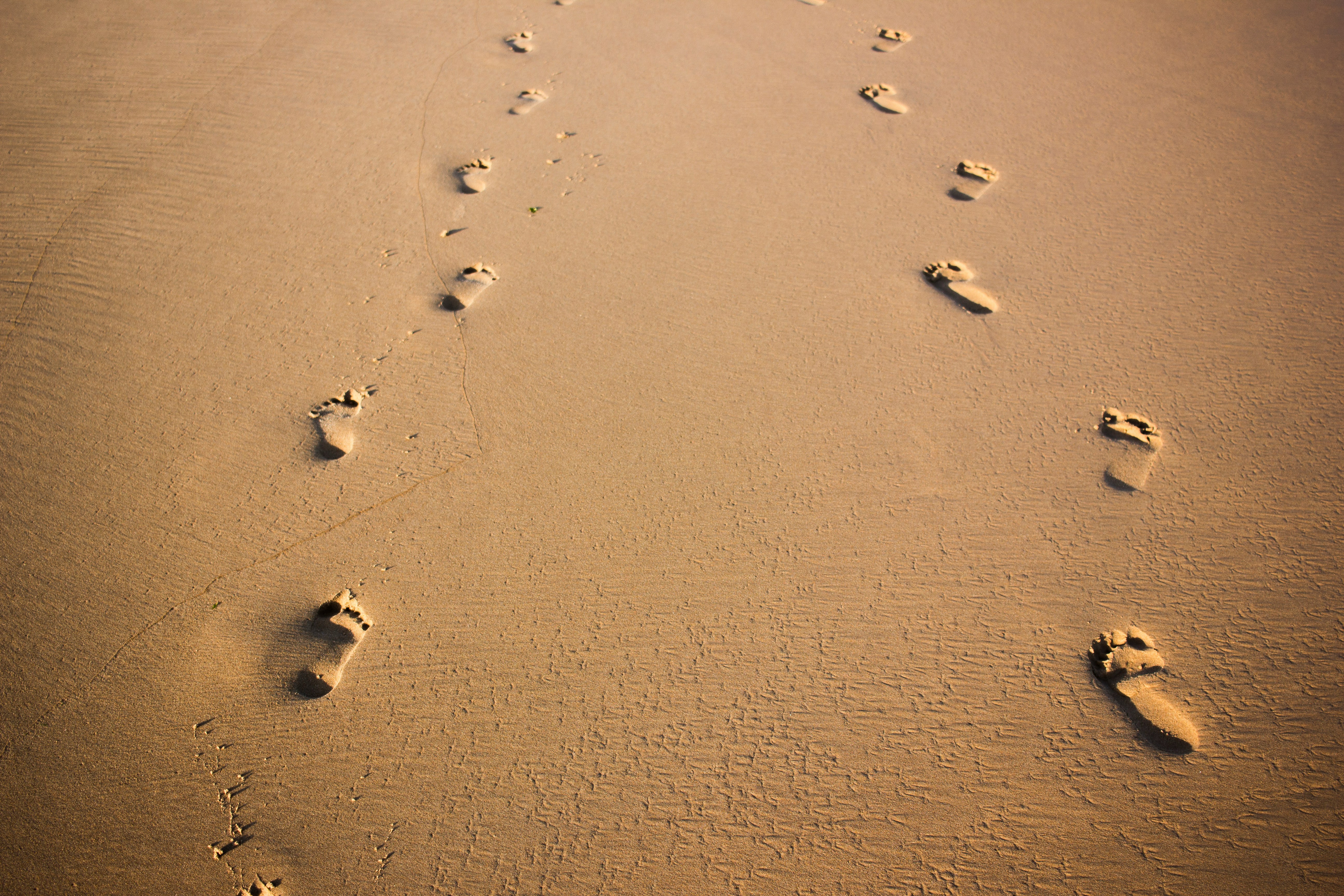New Resource Alert for Aspiring Environmental Professionals!