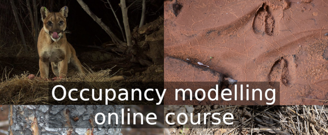 Affordable Occupancy Modelling course, starts 21 November