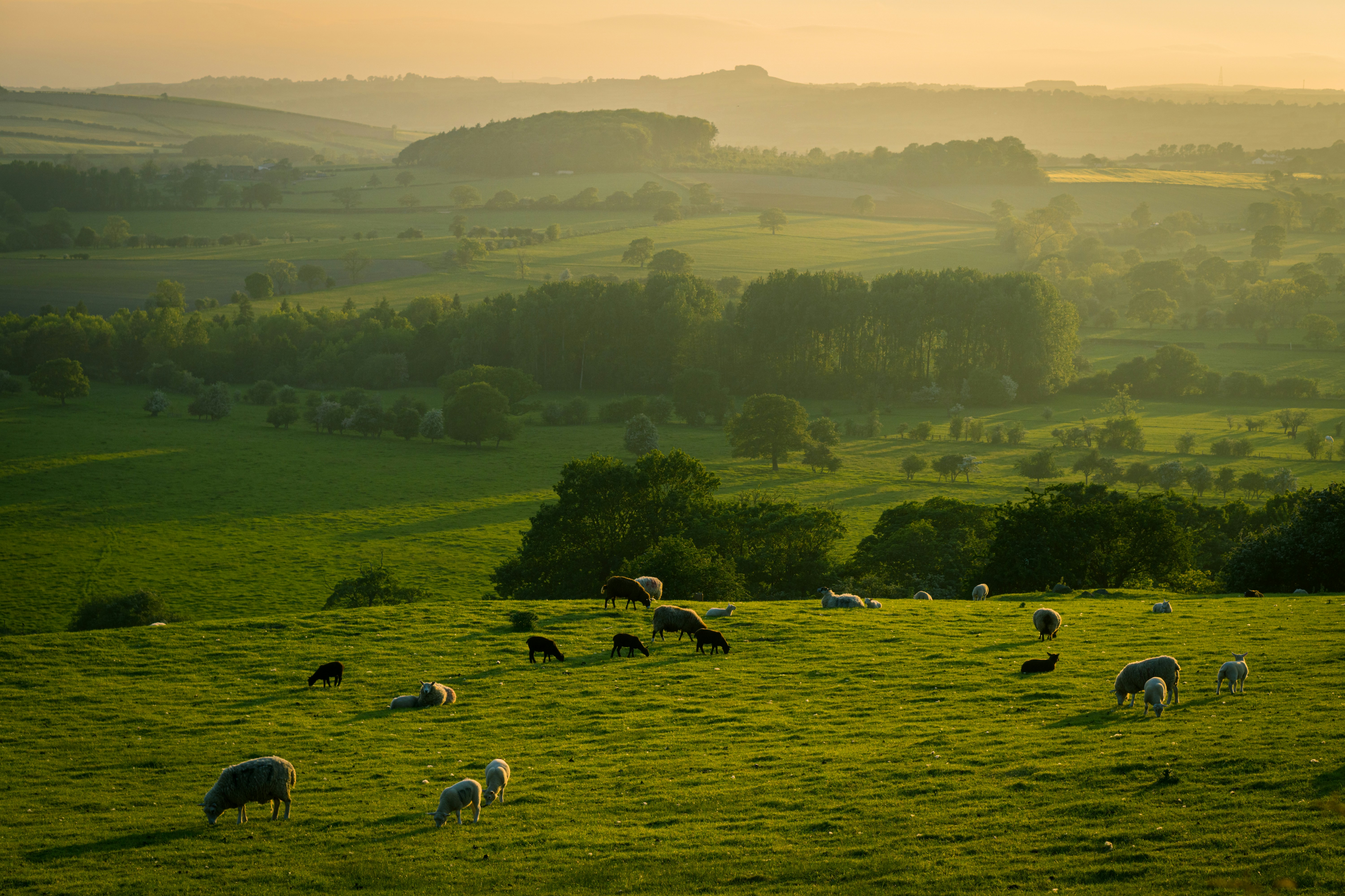 Every UK conservation organisation, in one A to Z list