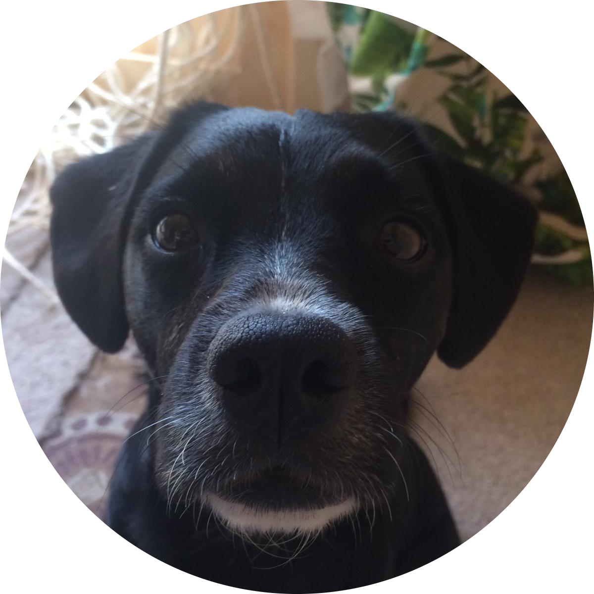 Go to the profile of Sarah Grant