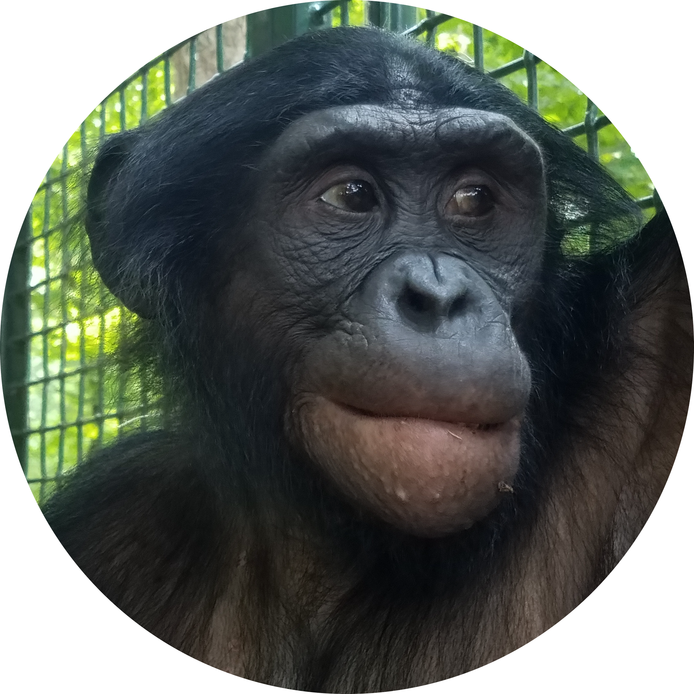 Go to the profile of Stacy Whitaker