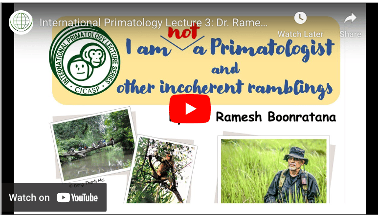 I am "not" a primatologist and other incoherent ramblings.