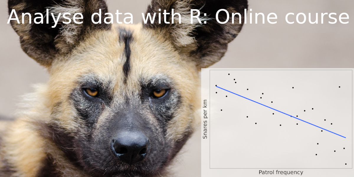 Online course: Analyse data with R