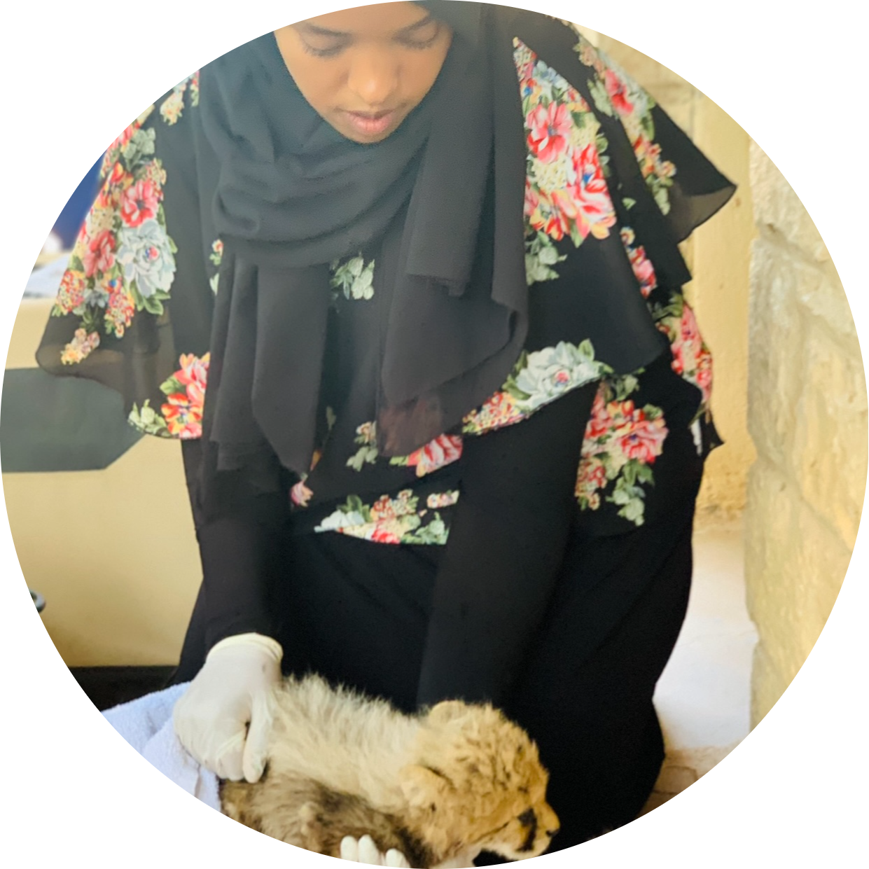 Go to the profile of Asma Hirsi