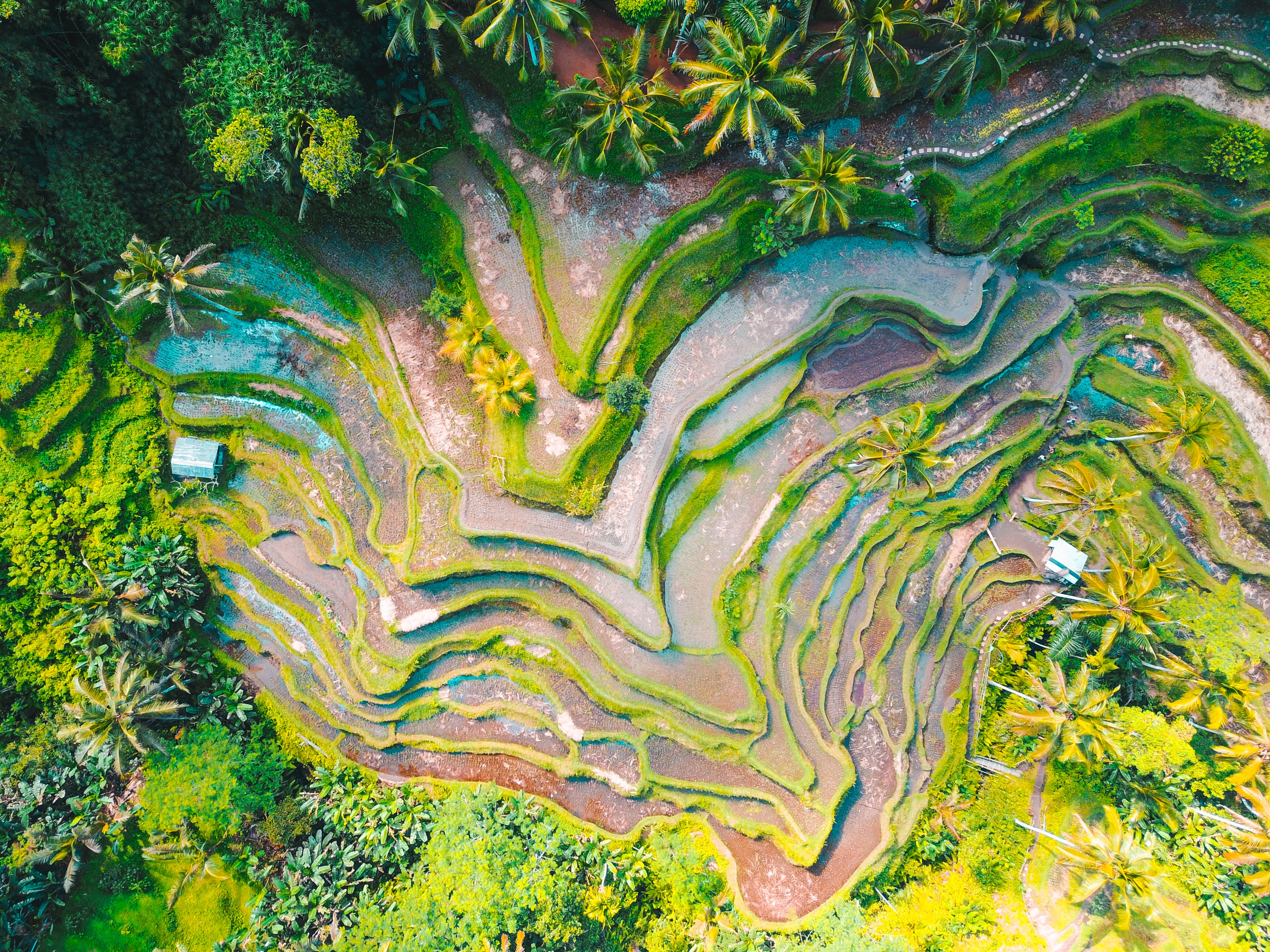 Technical Specialist, Terrestrial, Asia-Pacific Regional Programme