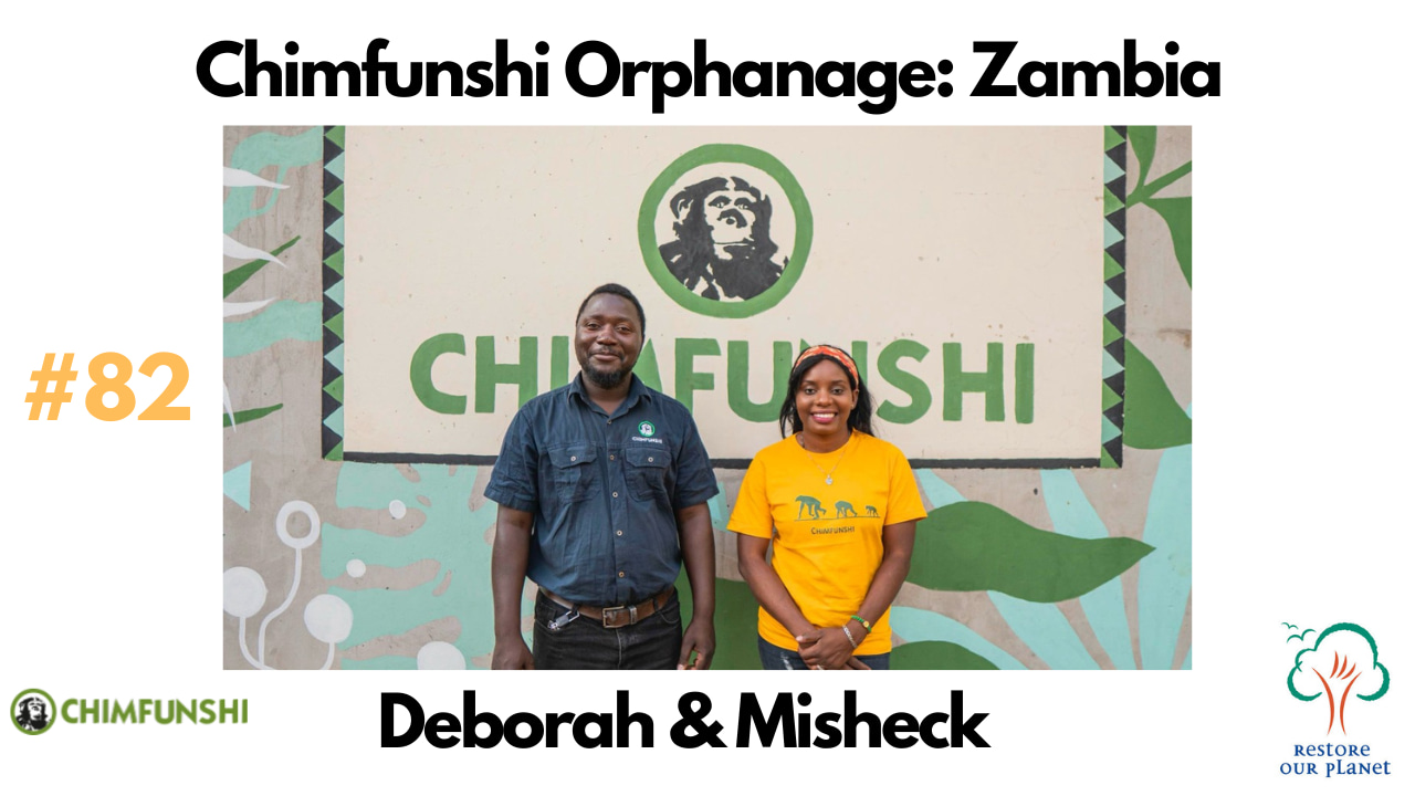 Restore Our Planet Podcast #82 Chimfunshi Orphanage: Deborah & Misheck.