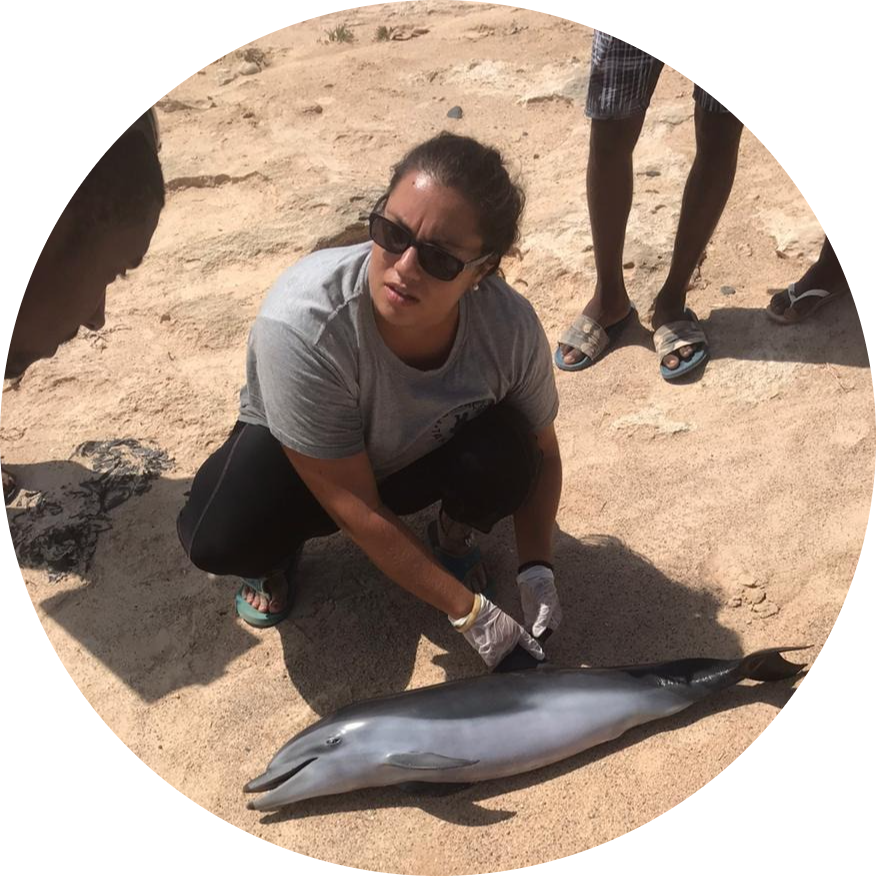 Go to the profile of Kathryn Yeoman