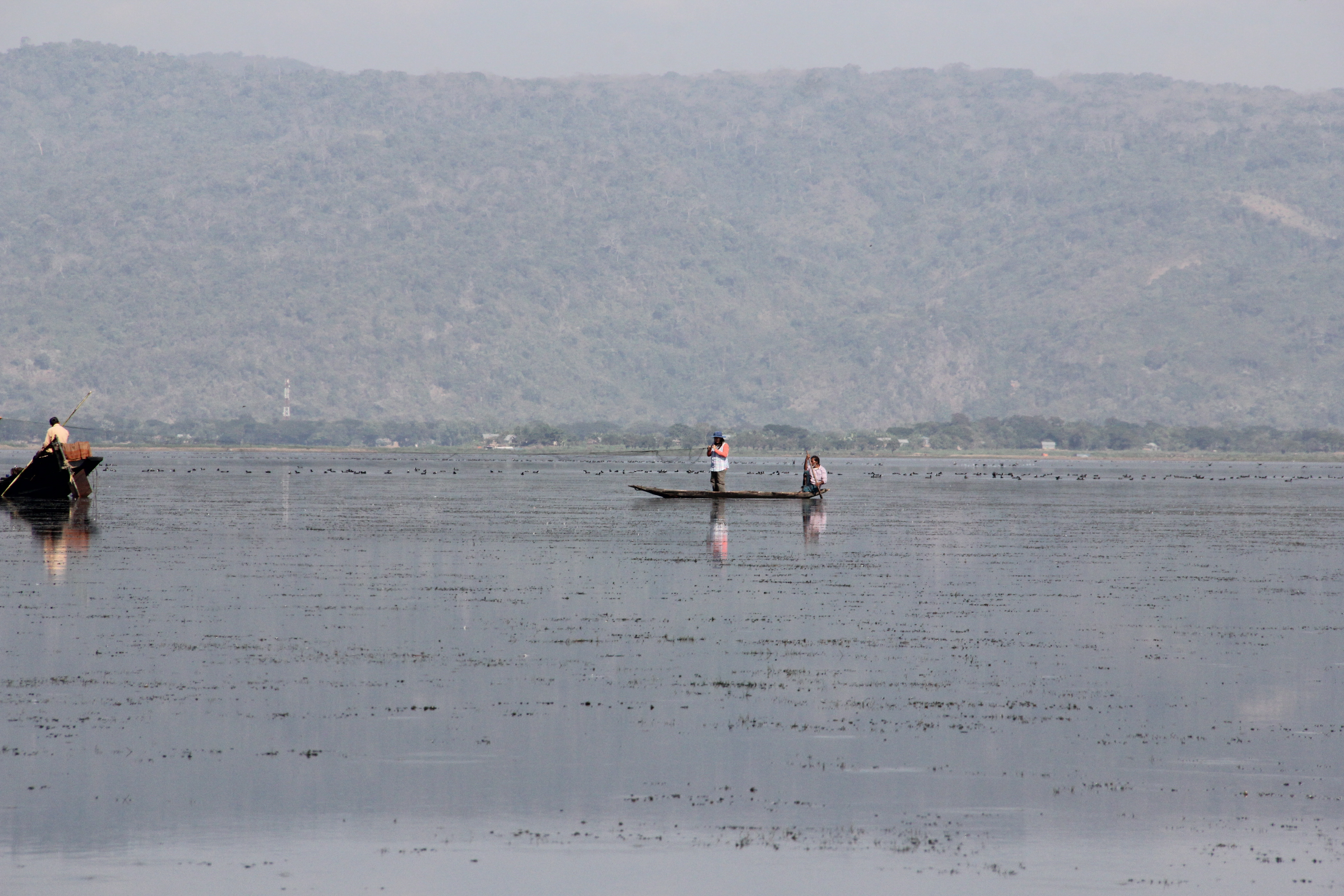 Paving the Way for Women in Conservation with Zenin Azmiri