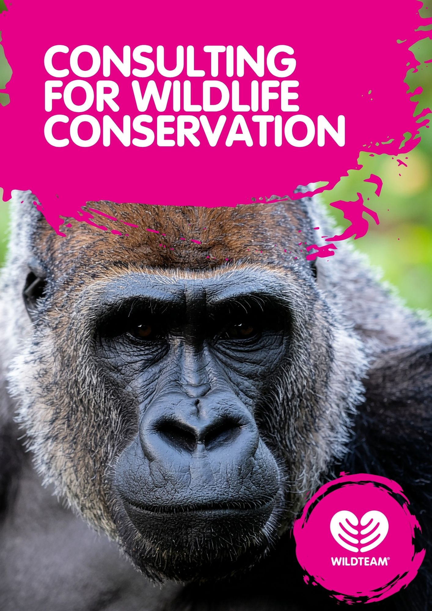 Consulting for Wildlife Conservation: a new certified course from WildTeam