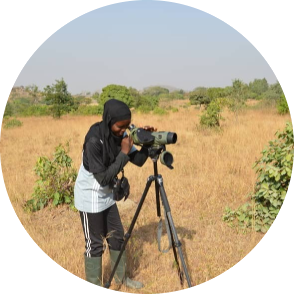 Go to the profile of Alai