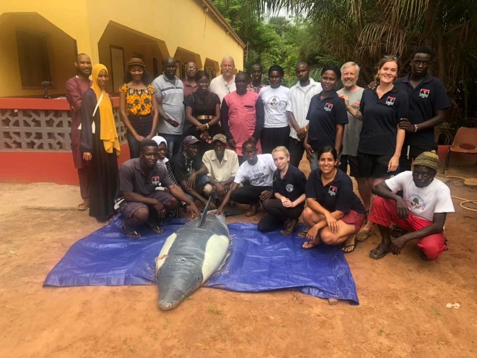 Field work, training and research opportunities 