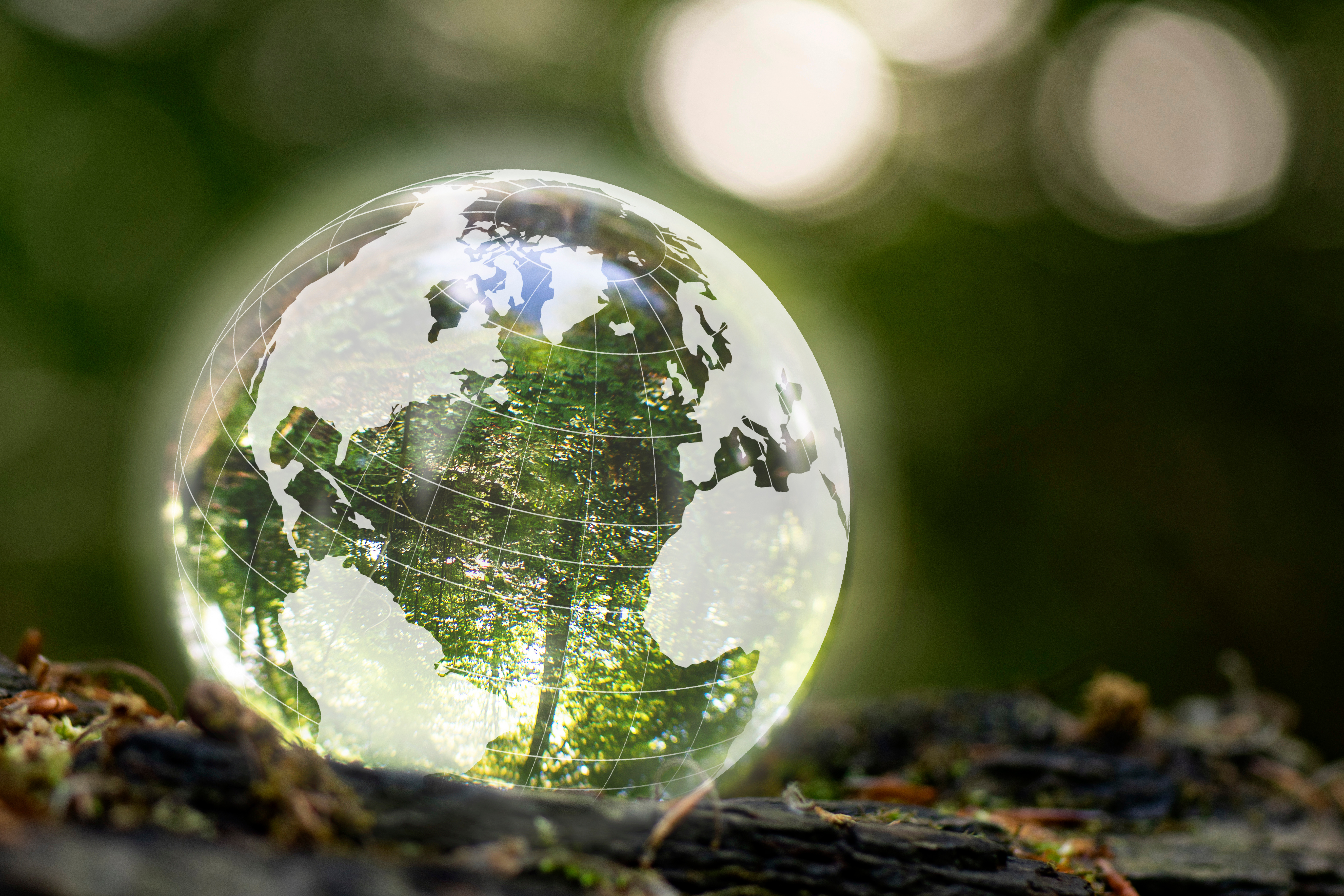 11 Key Conservation Roles 🗺️ Mapping the conservation sector