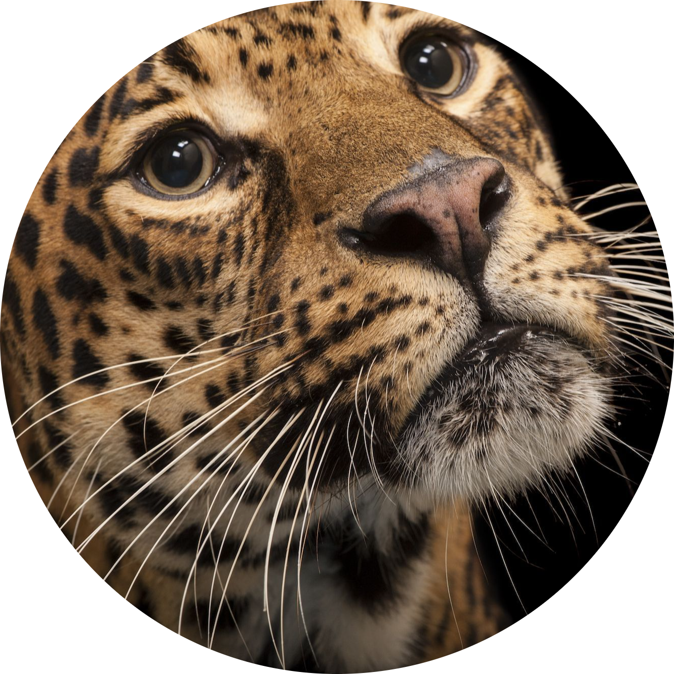 Go to the profile of Stephanie Pendry