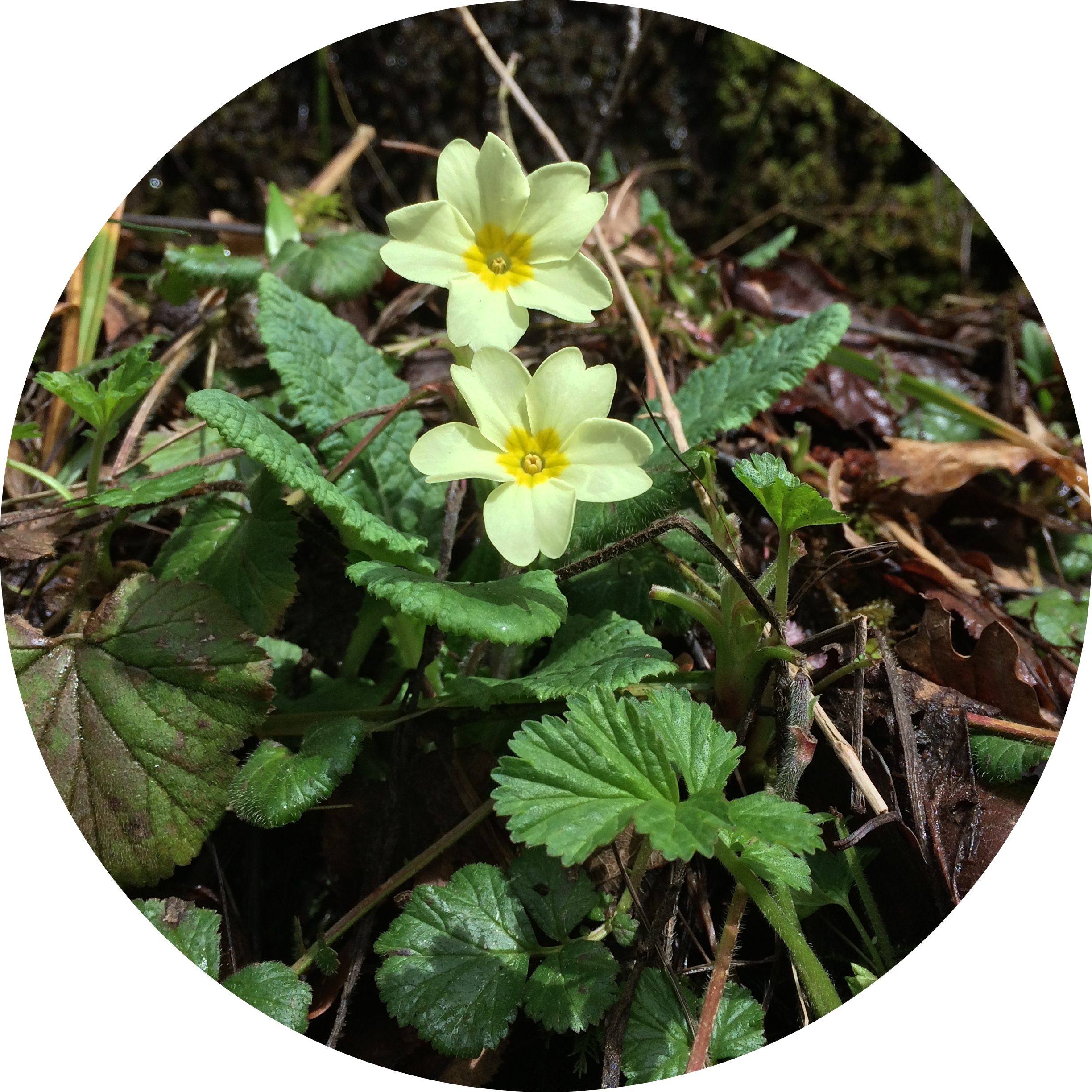 Go to the profile of Kristopher Hogg