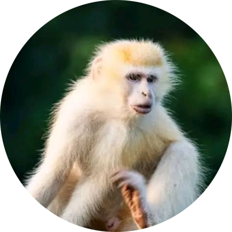 Go to the profile of Desire Sabiti