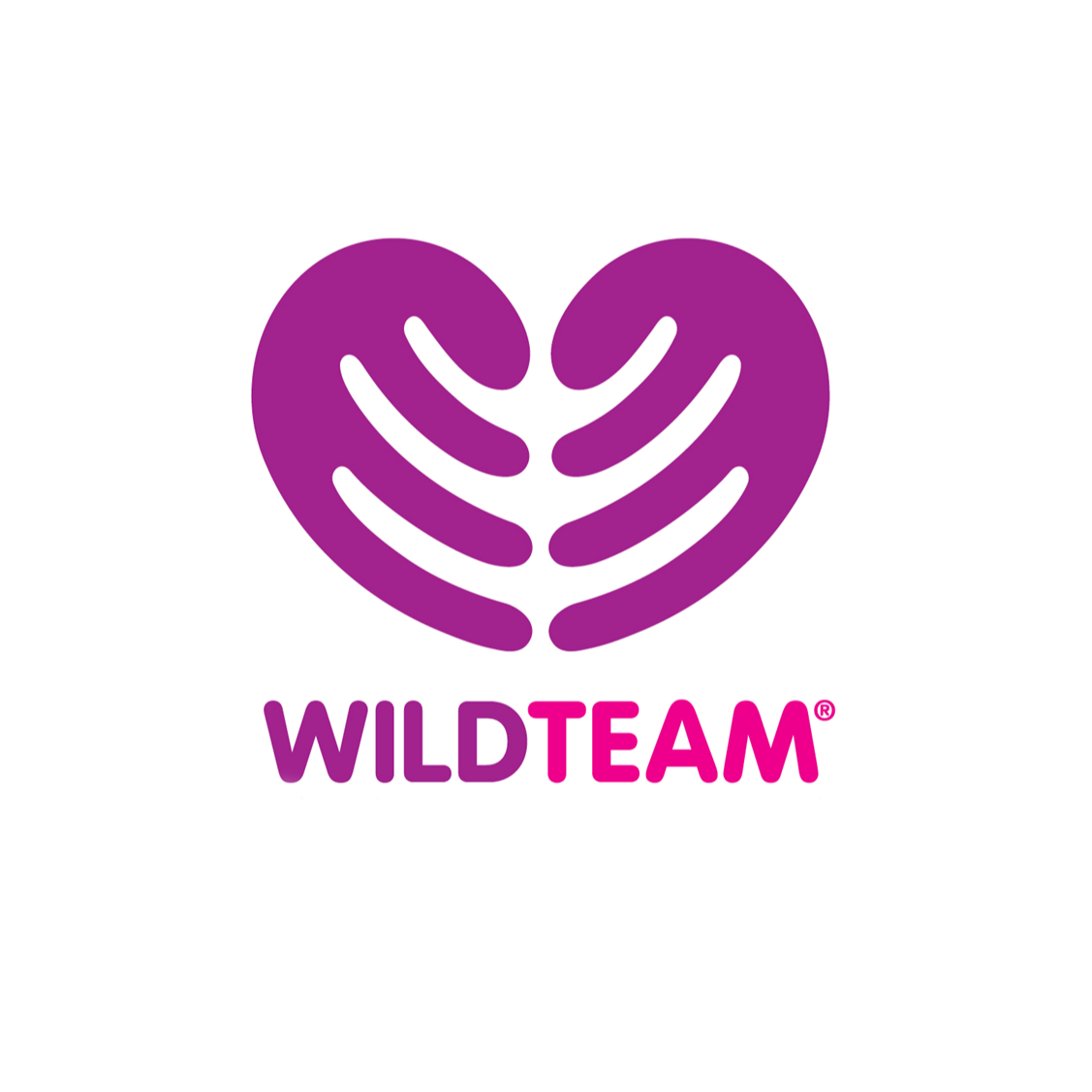 Go to the profile of WildTeam Admin