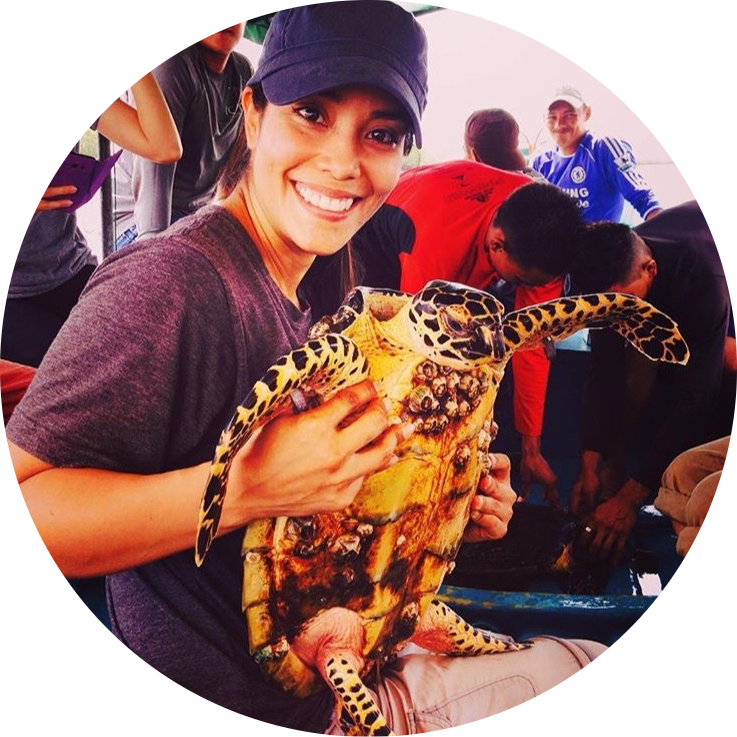 Go to the profile of Ani