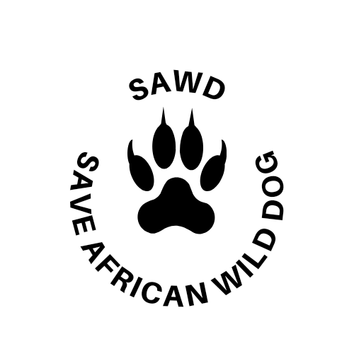 Go to the profile of Brighton Chilekeni