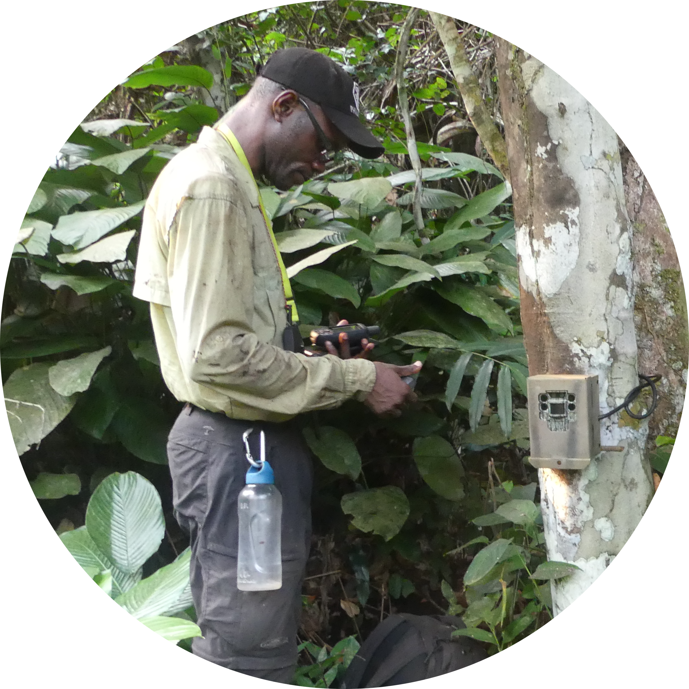 Go to the profile of Tsakala