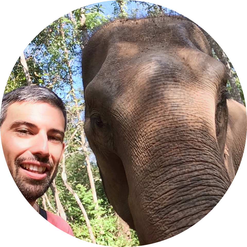 Go to the profile of David Champness