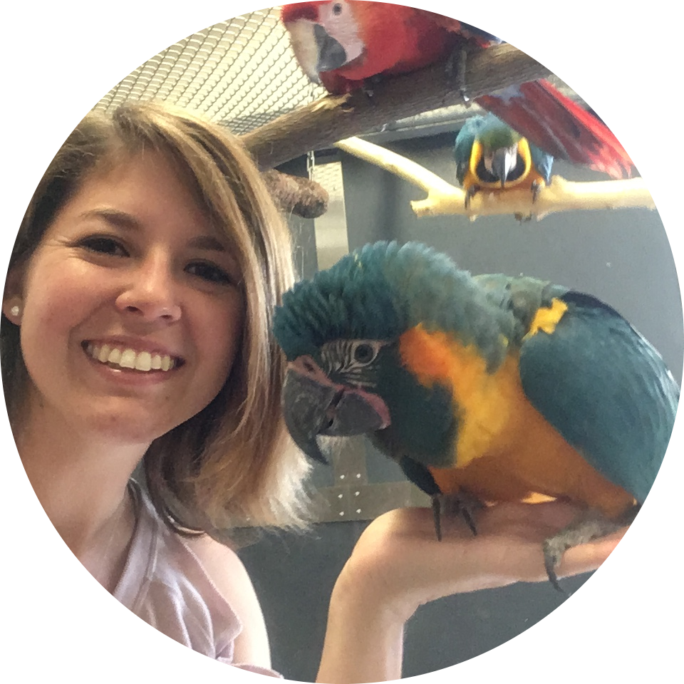 Go to the profile of Paola